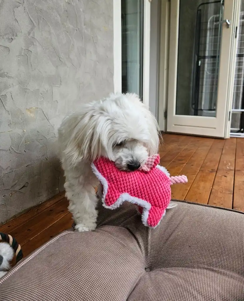 image-14