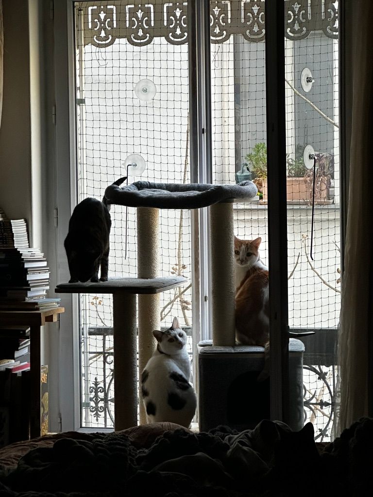 image-10