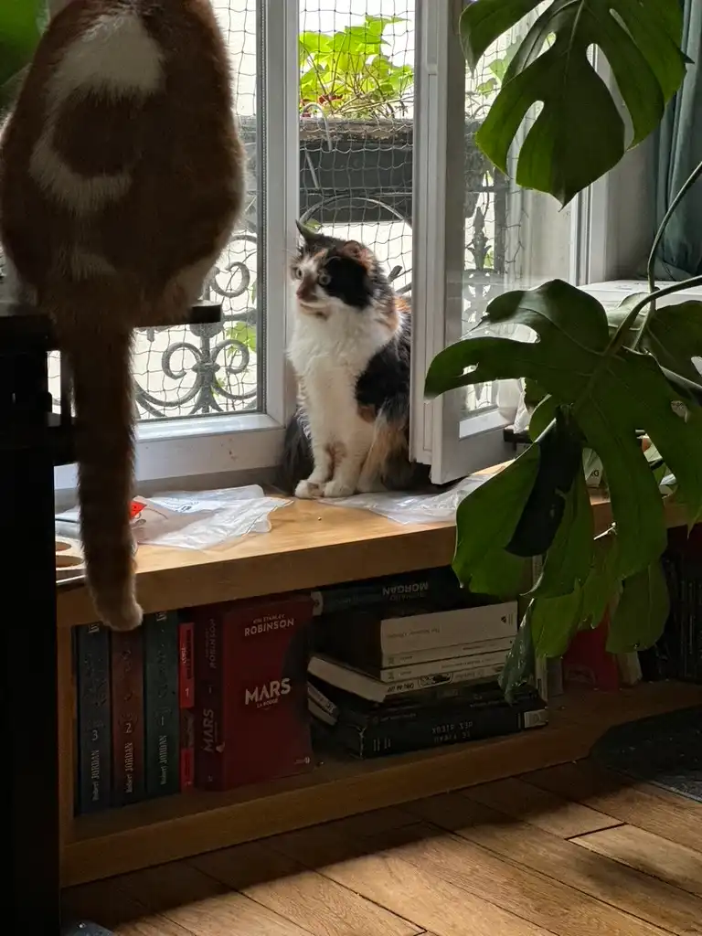 image-16