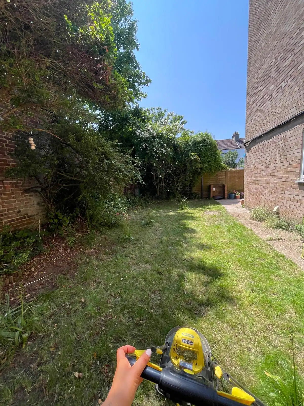 image-11