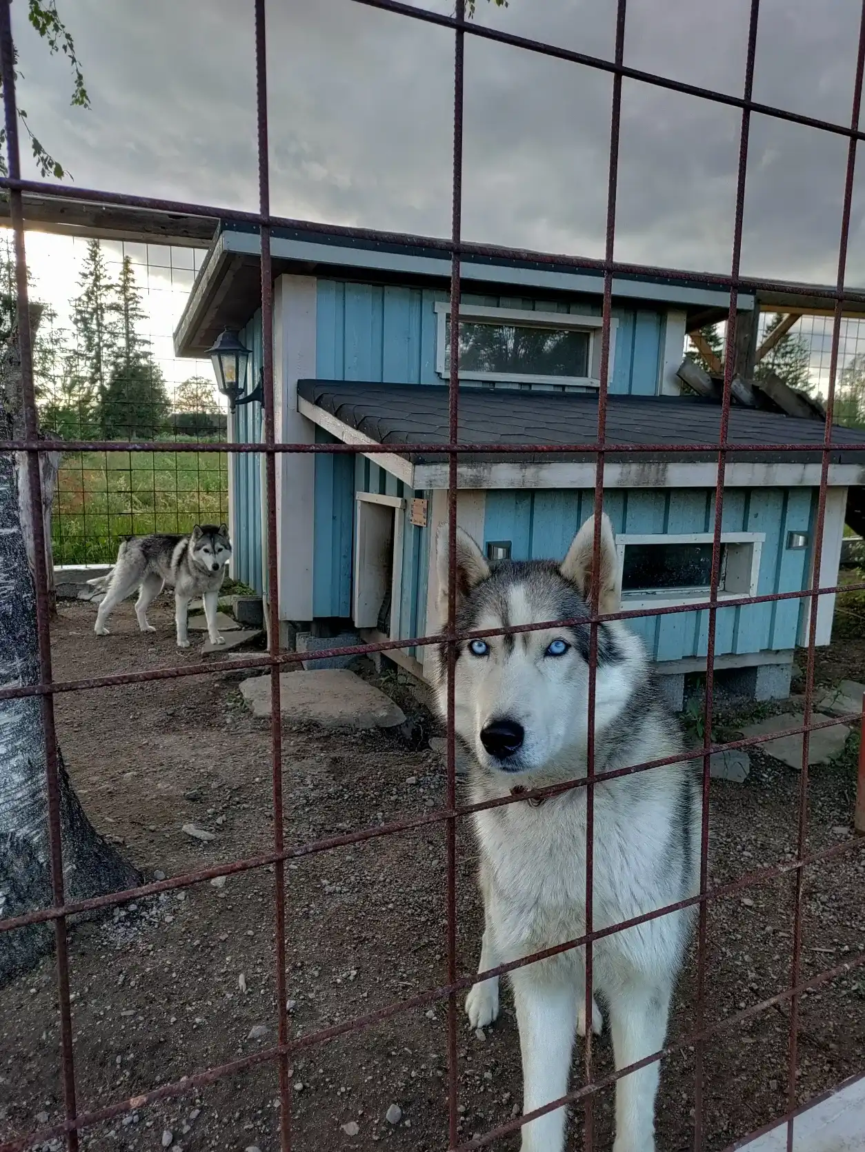 image-5
