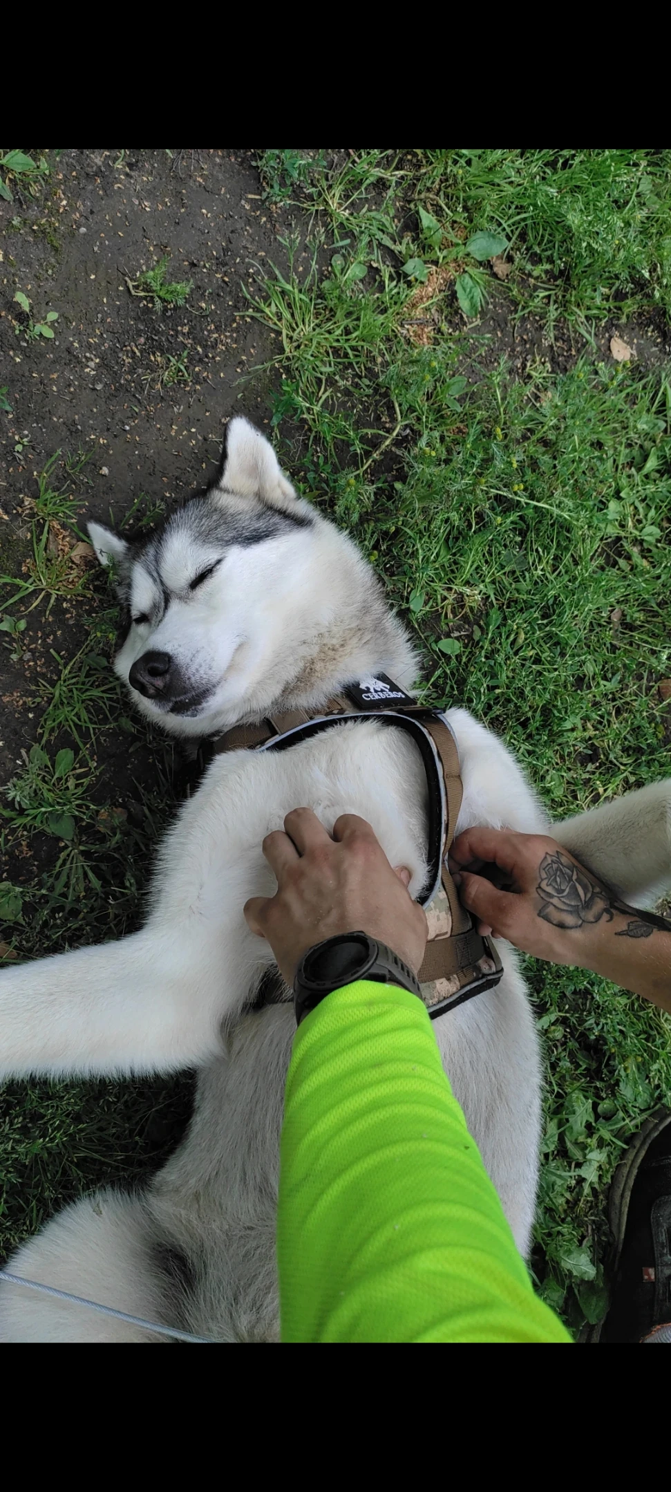 image-11