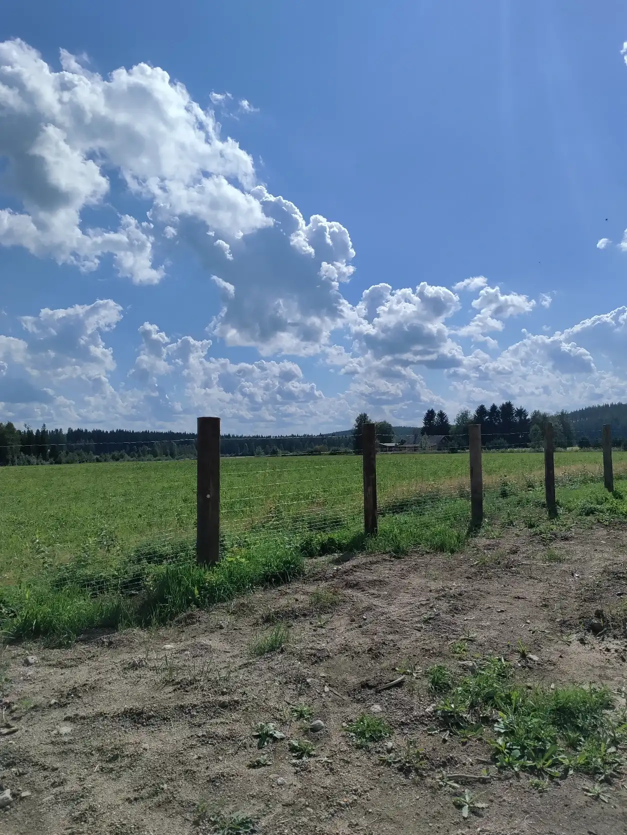 image-27
