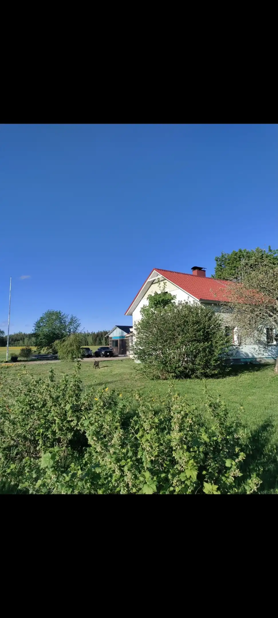 image-25