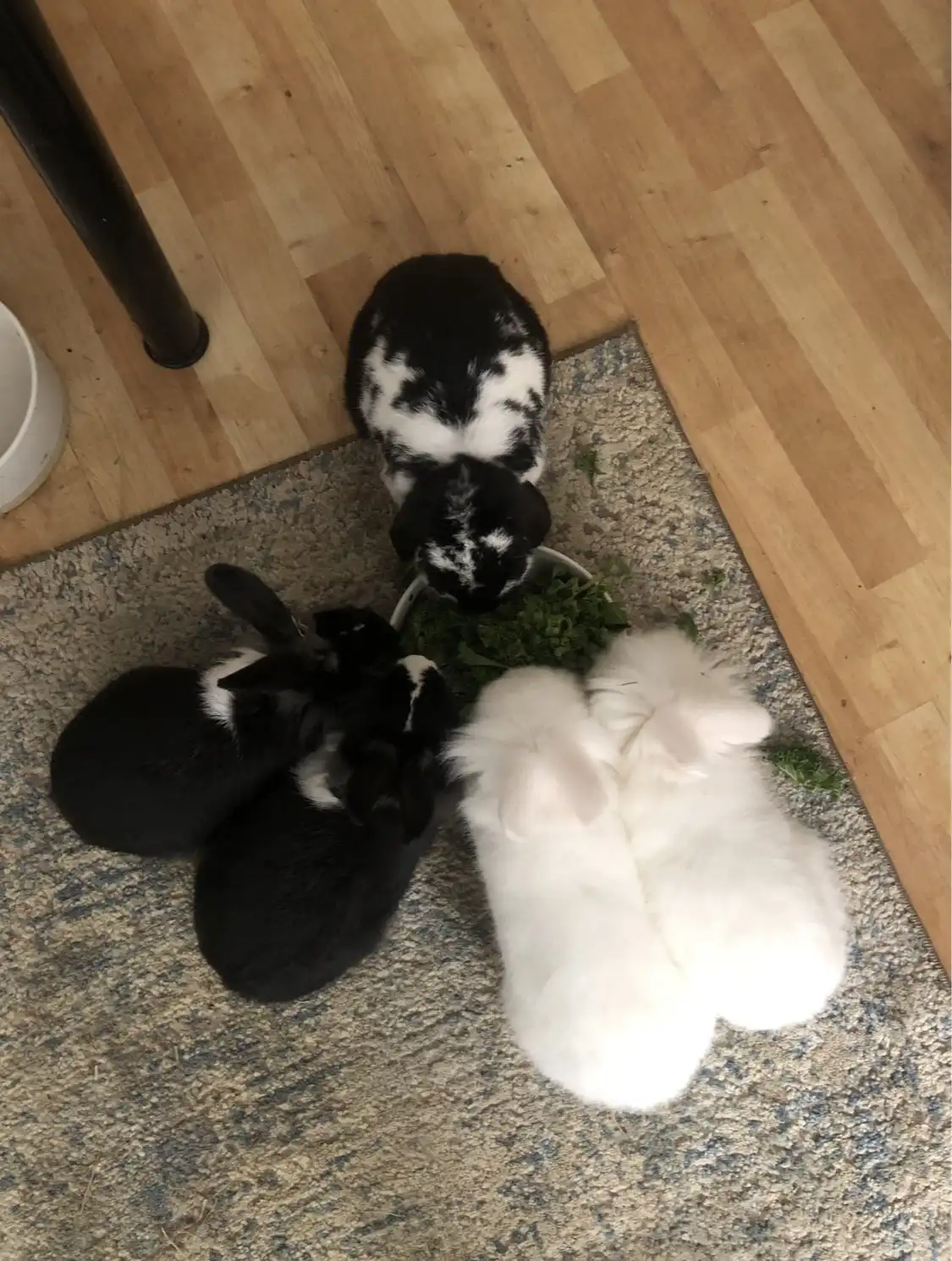 image-11