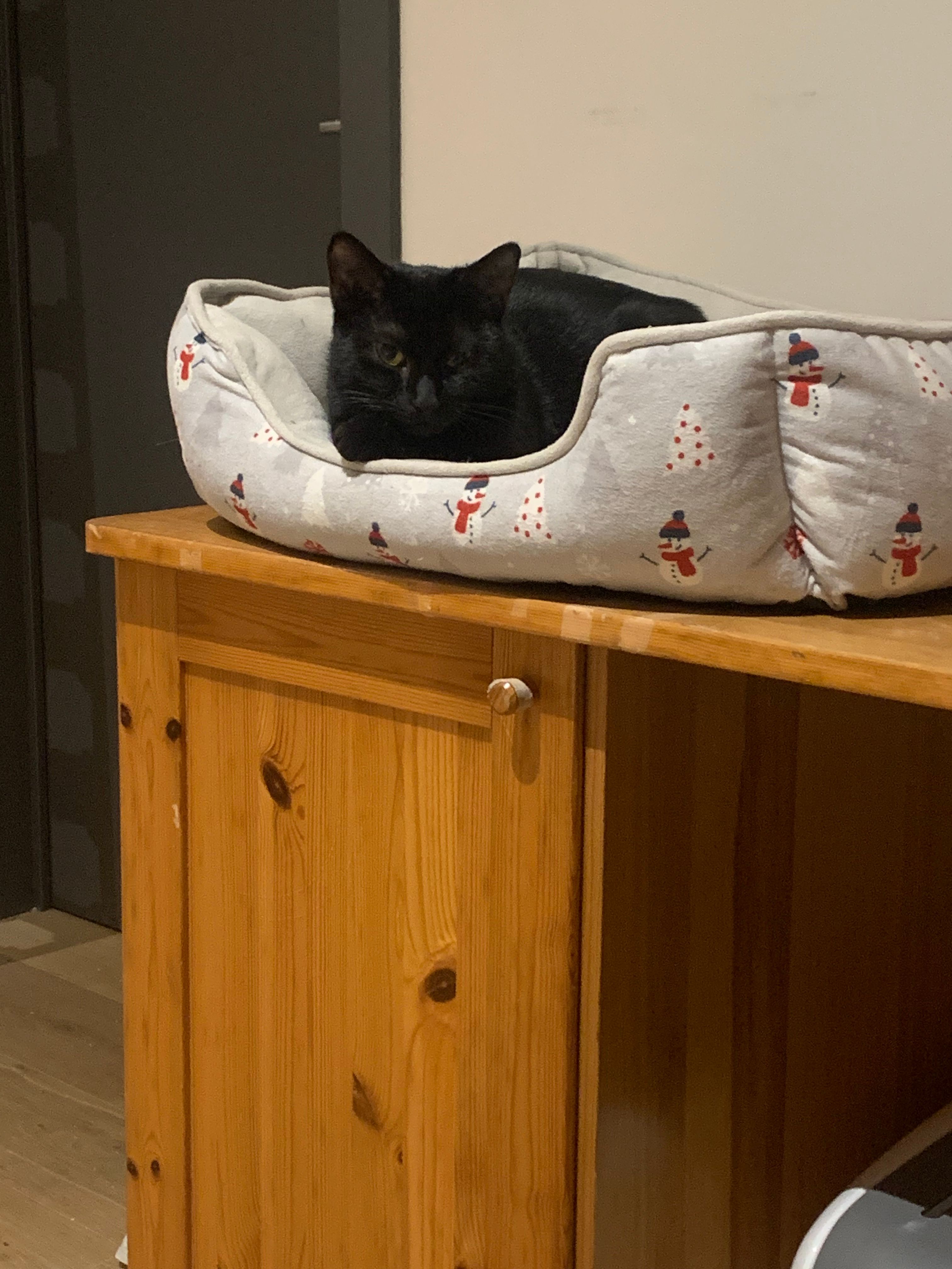 image-9
