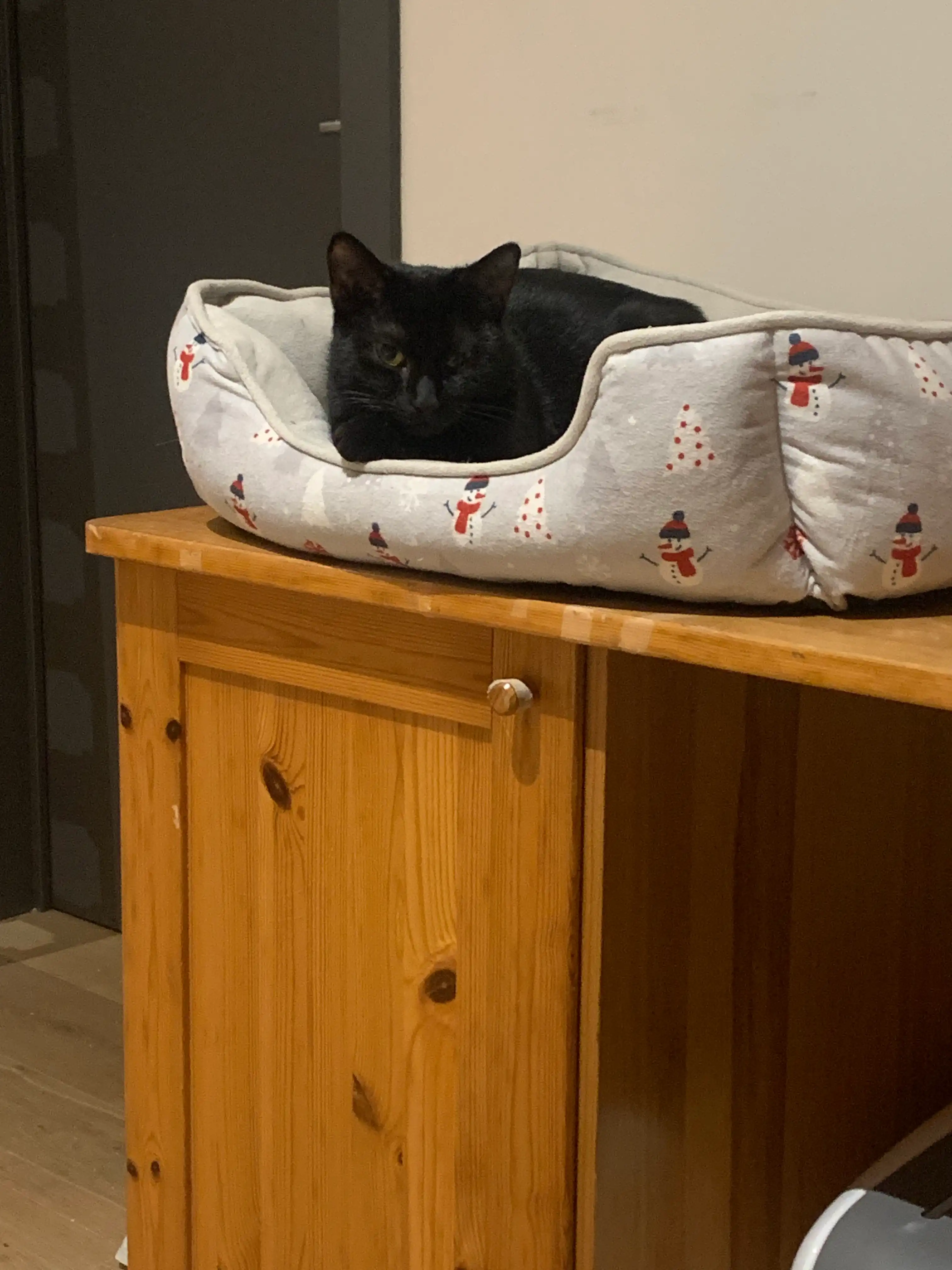 image-9