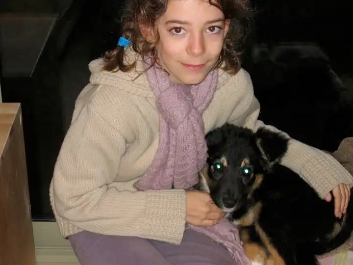 image-7