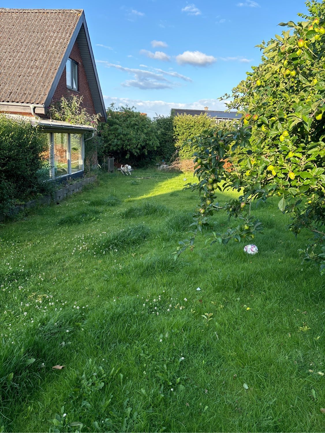 image-16