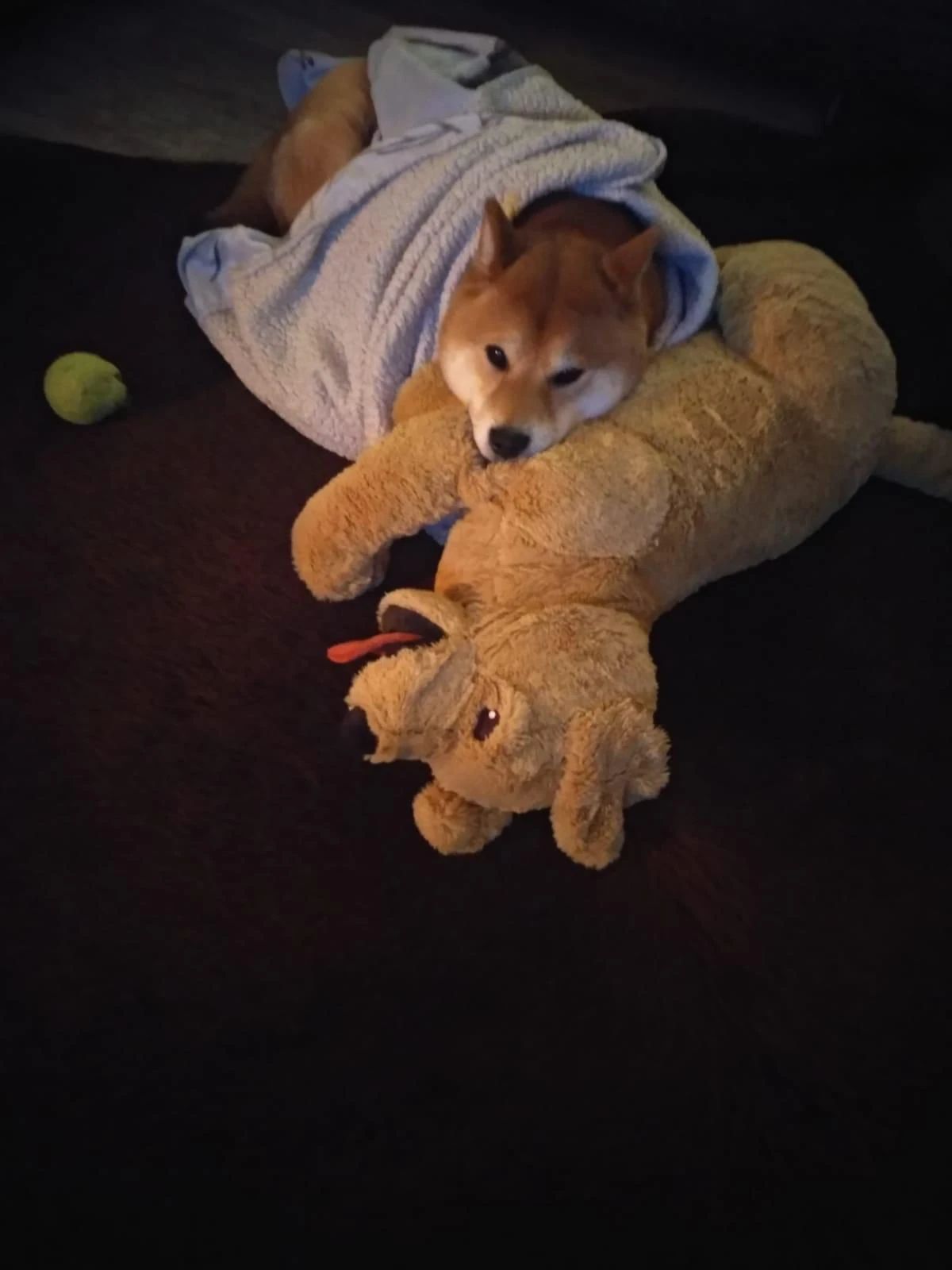 image-10