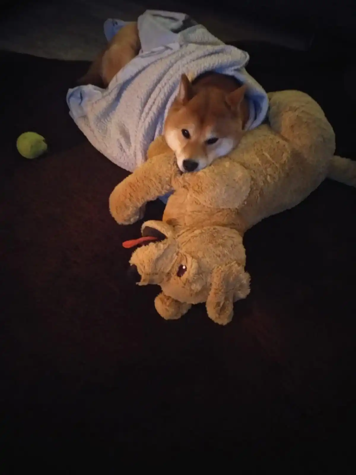 image-10