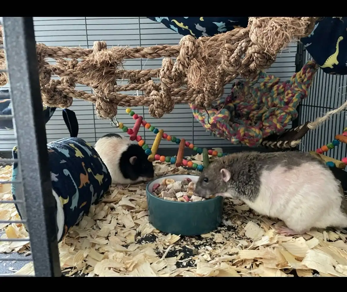 image-12