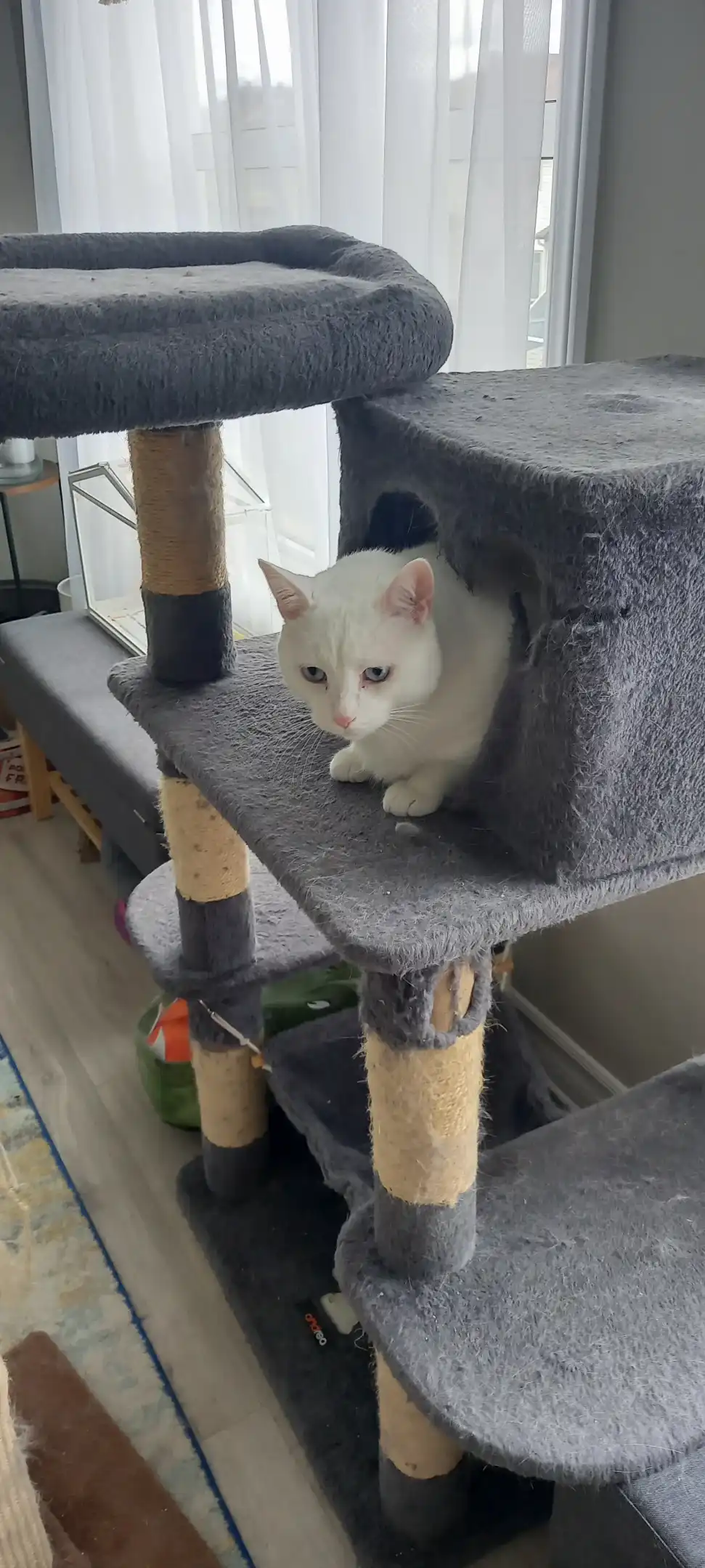 image-5