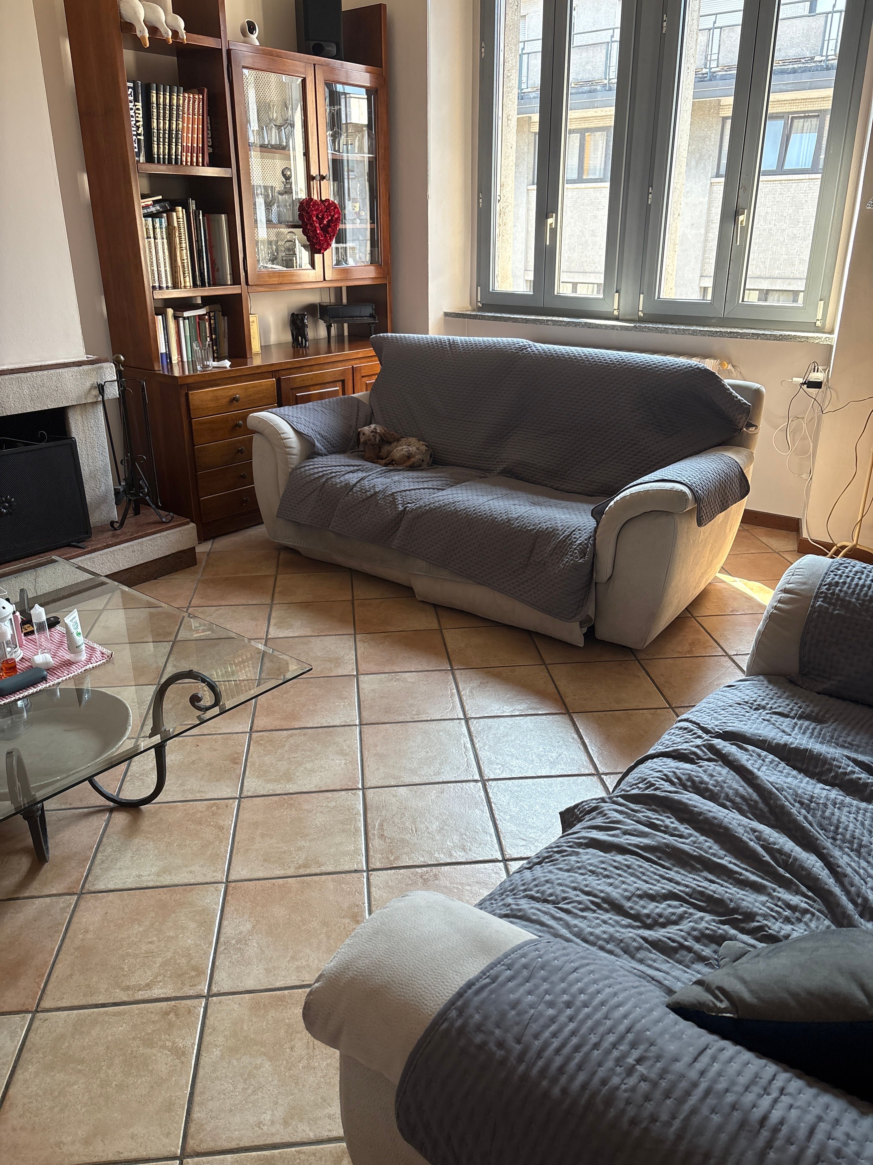 image-19