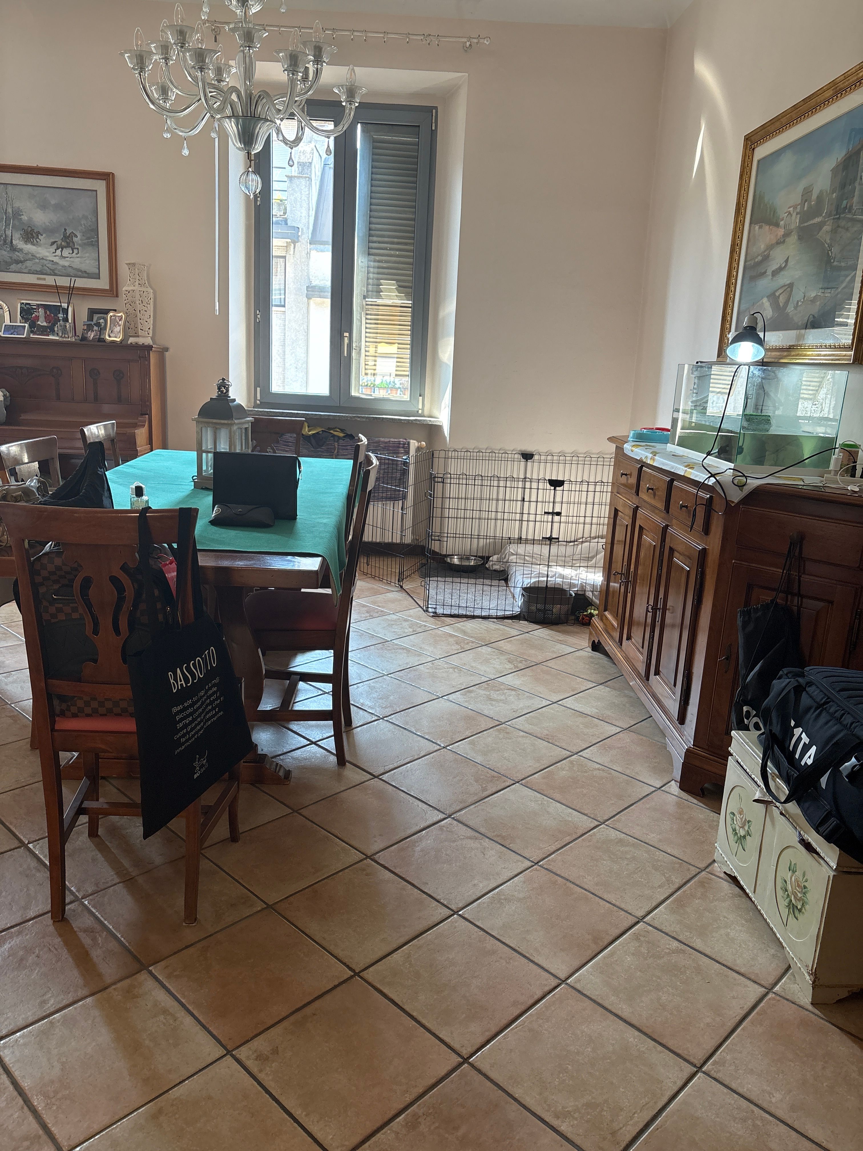 image-17