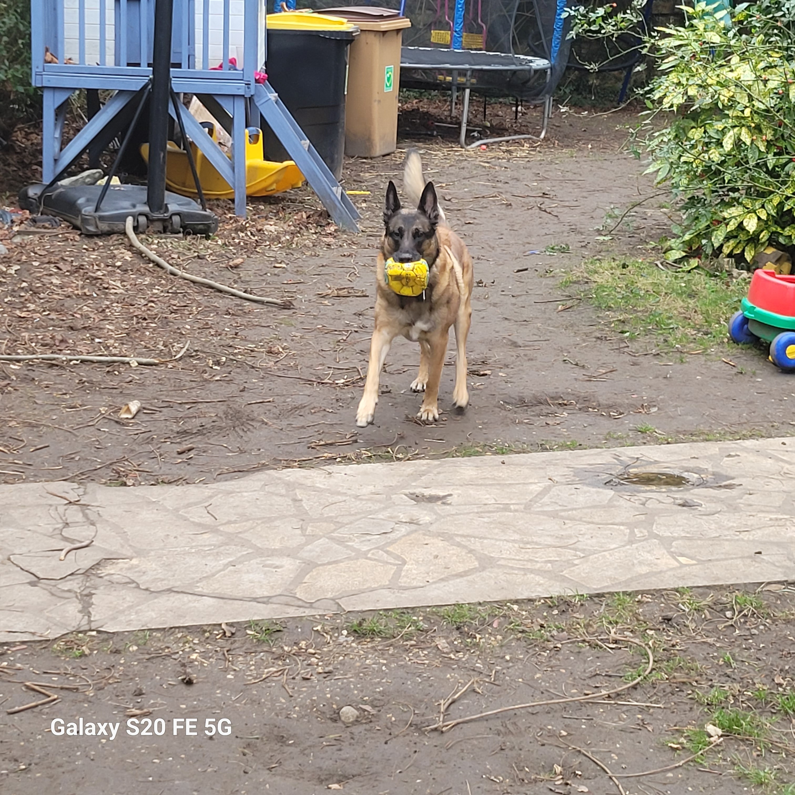 image-15
