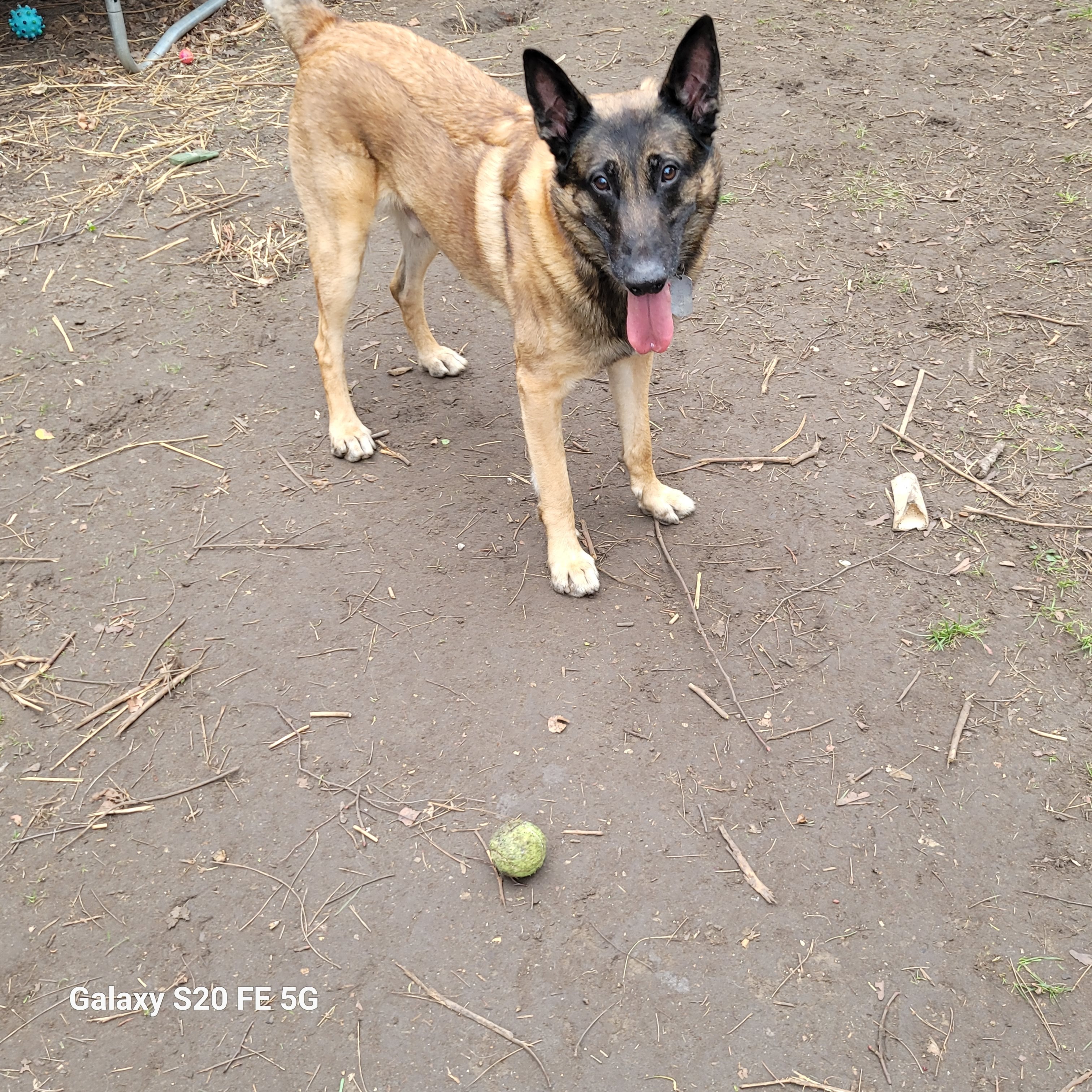 image-12
