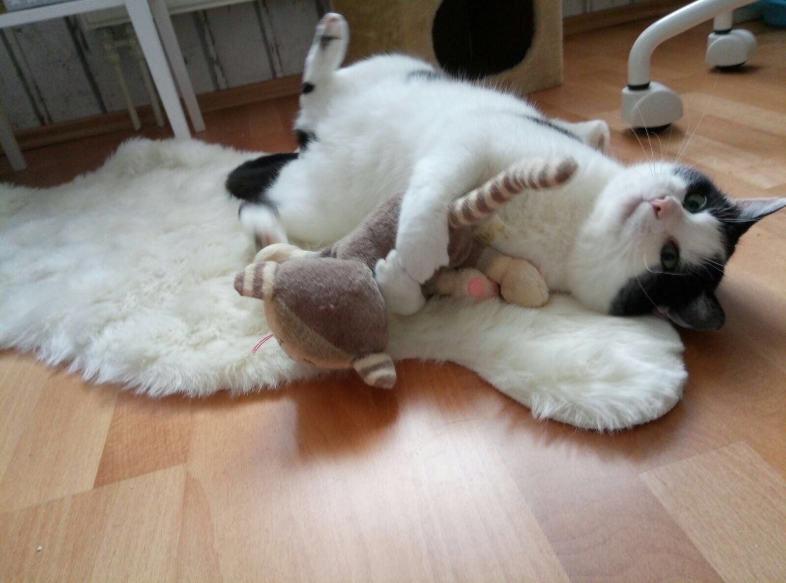 image-6