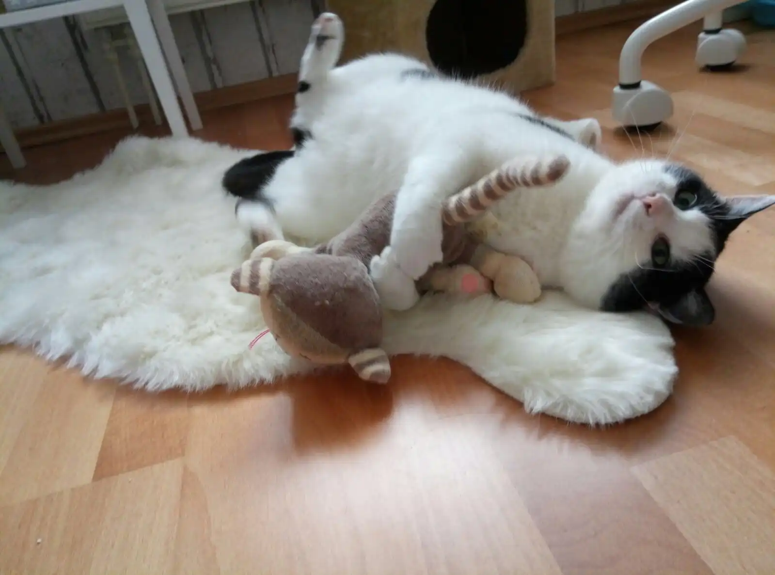 image-6