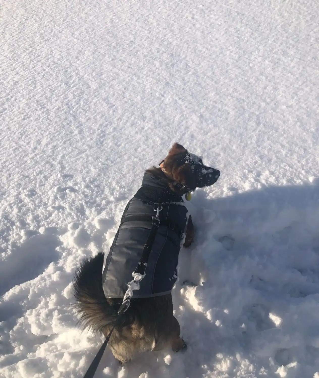 image-9