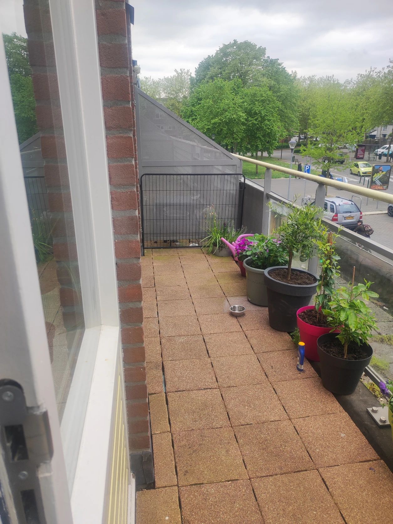 image-19