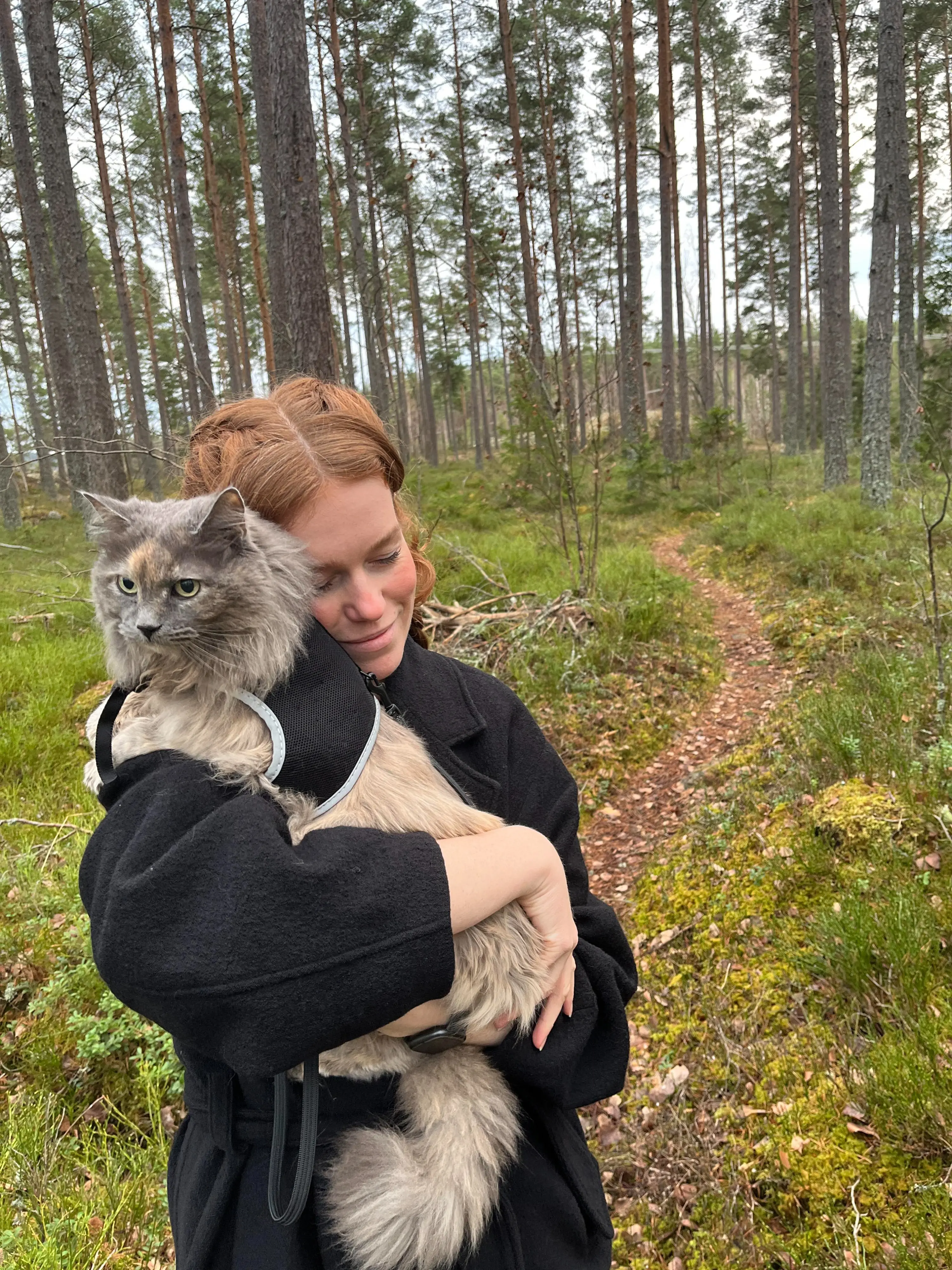 image-2