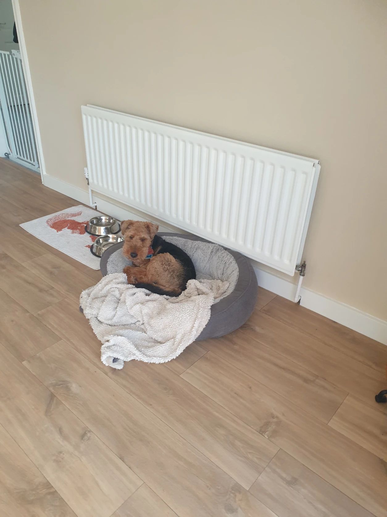 image-20