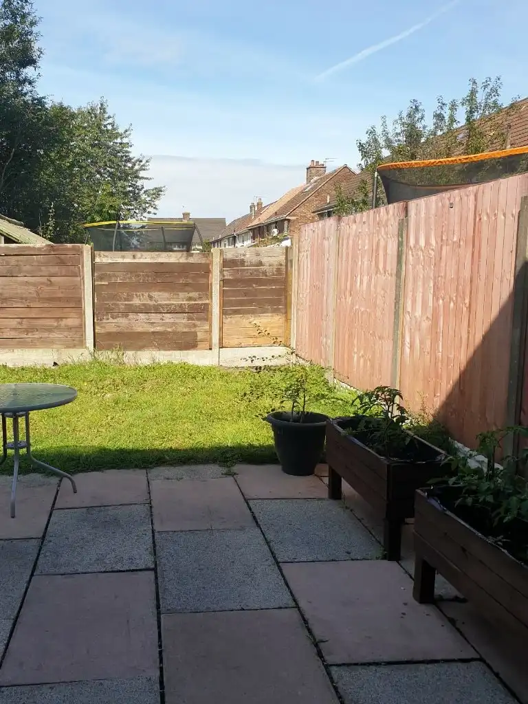 image-13
