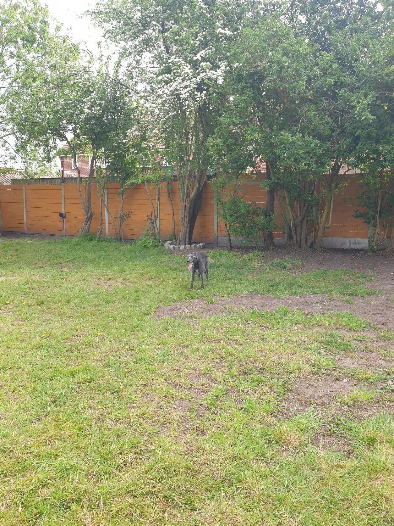 image-16