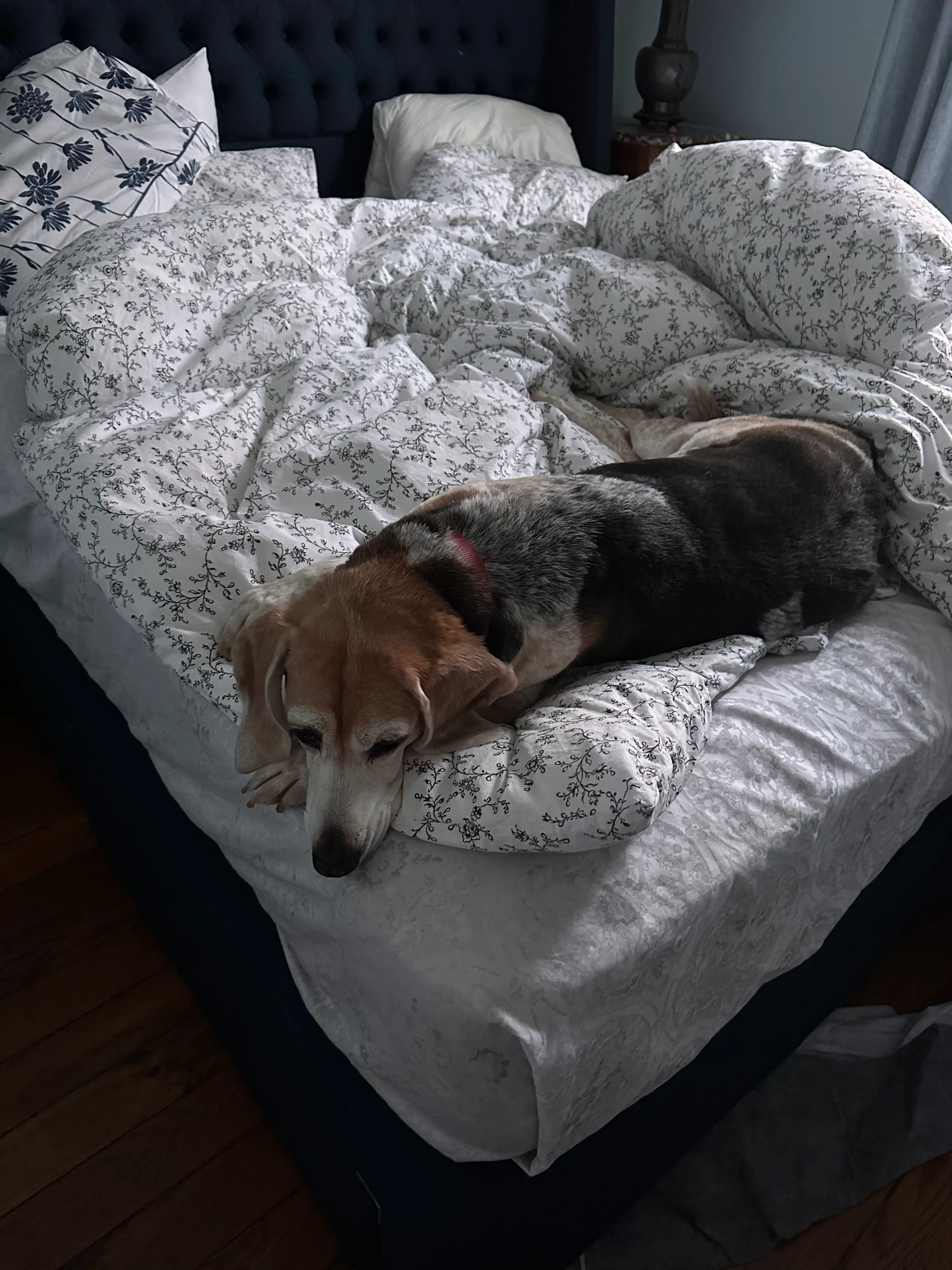 image-14