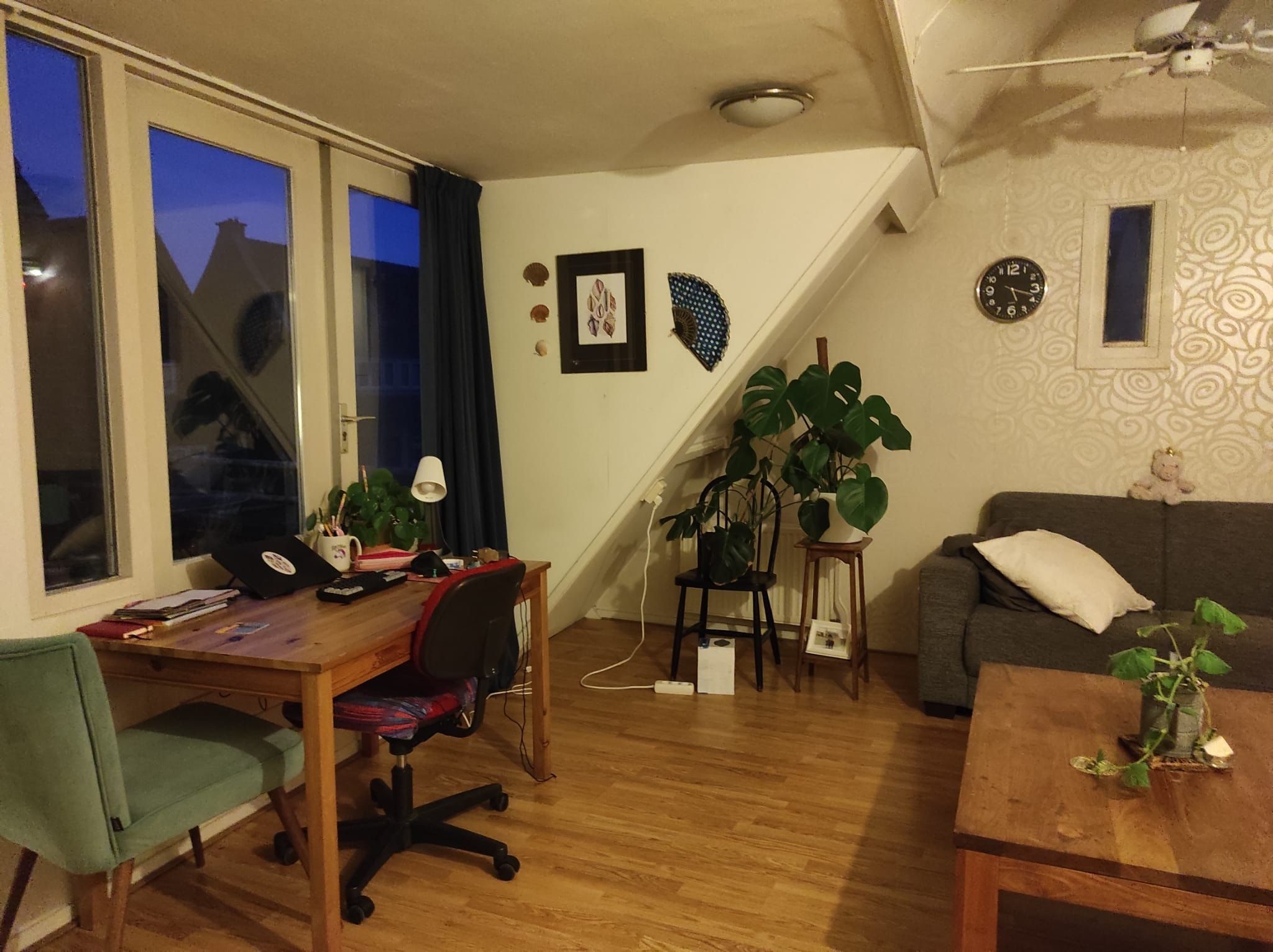 image-7