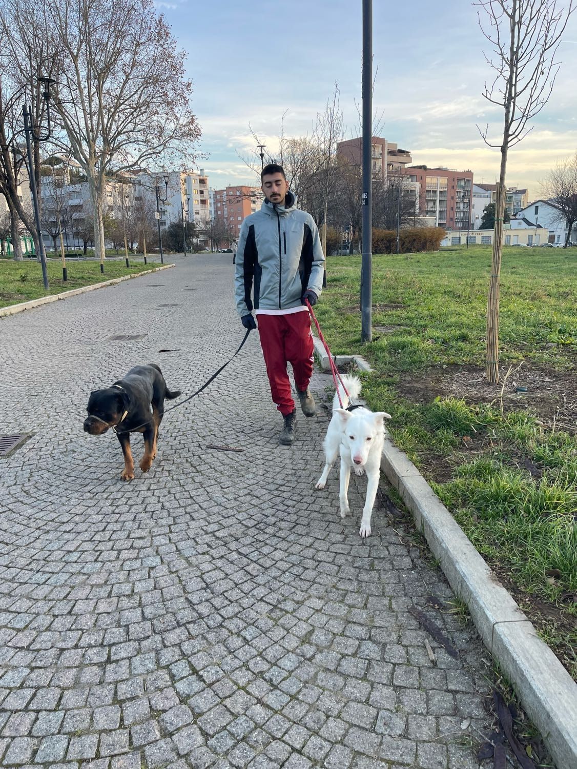 image-11