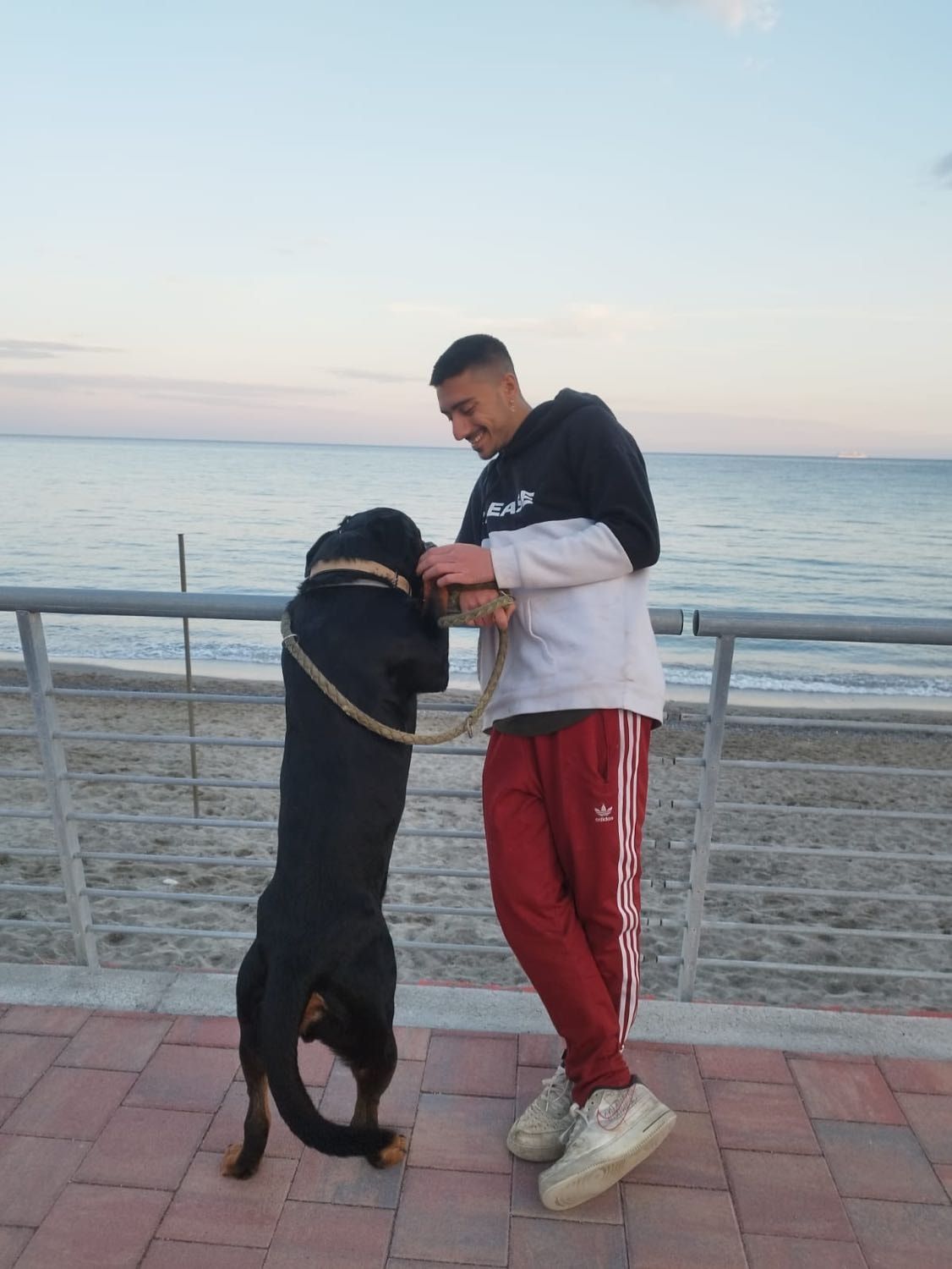 image-9