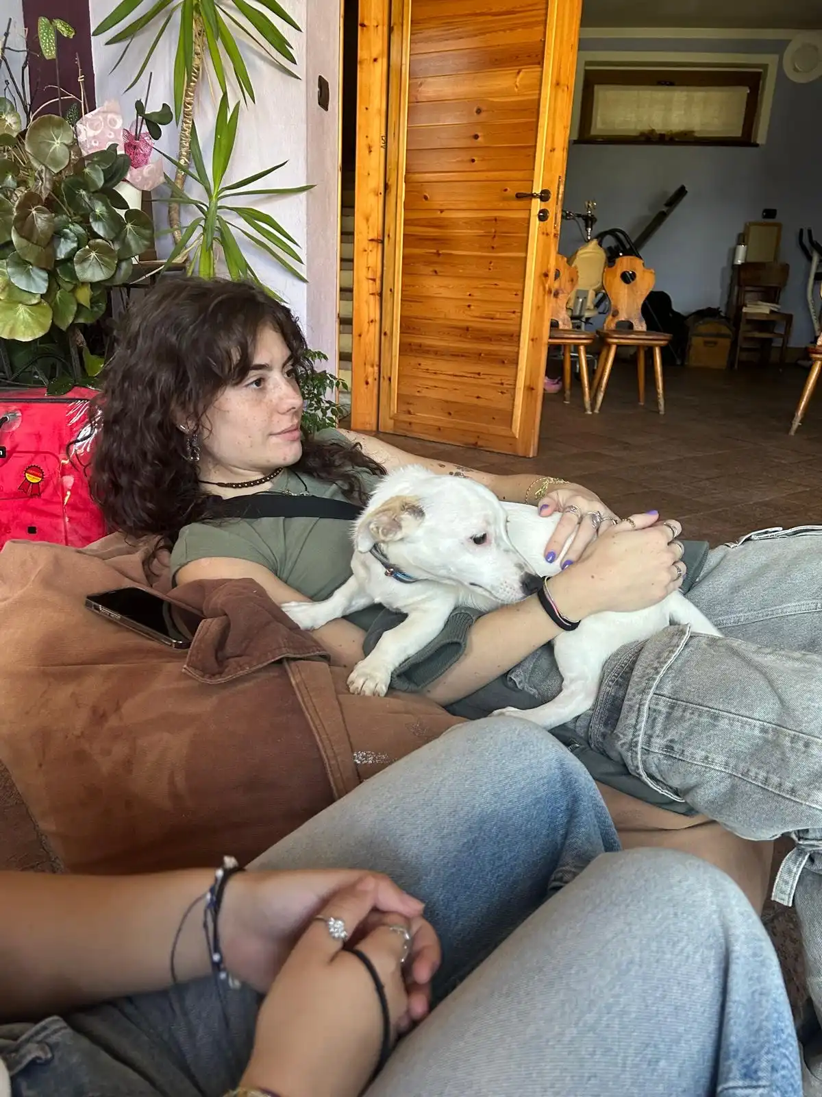 image-7