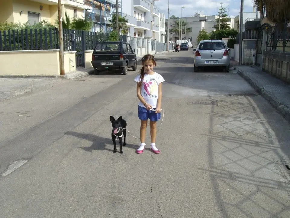 image-4