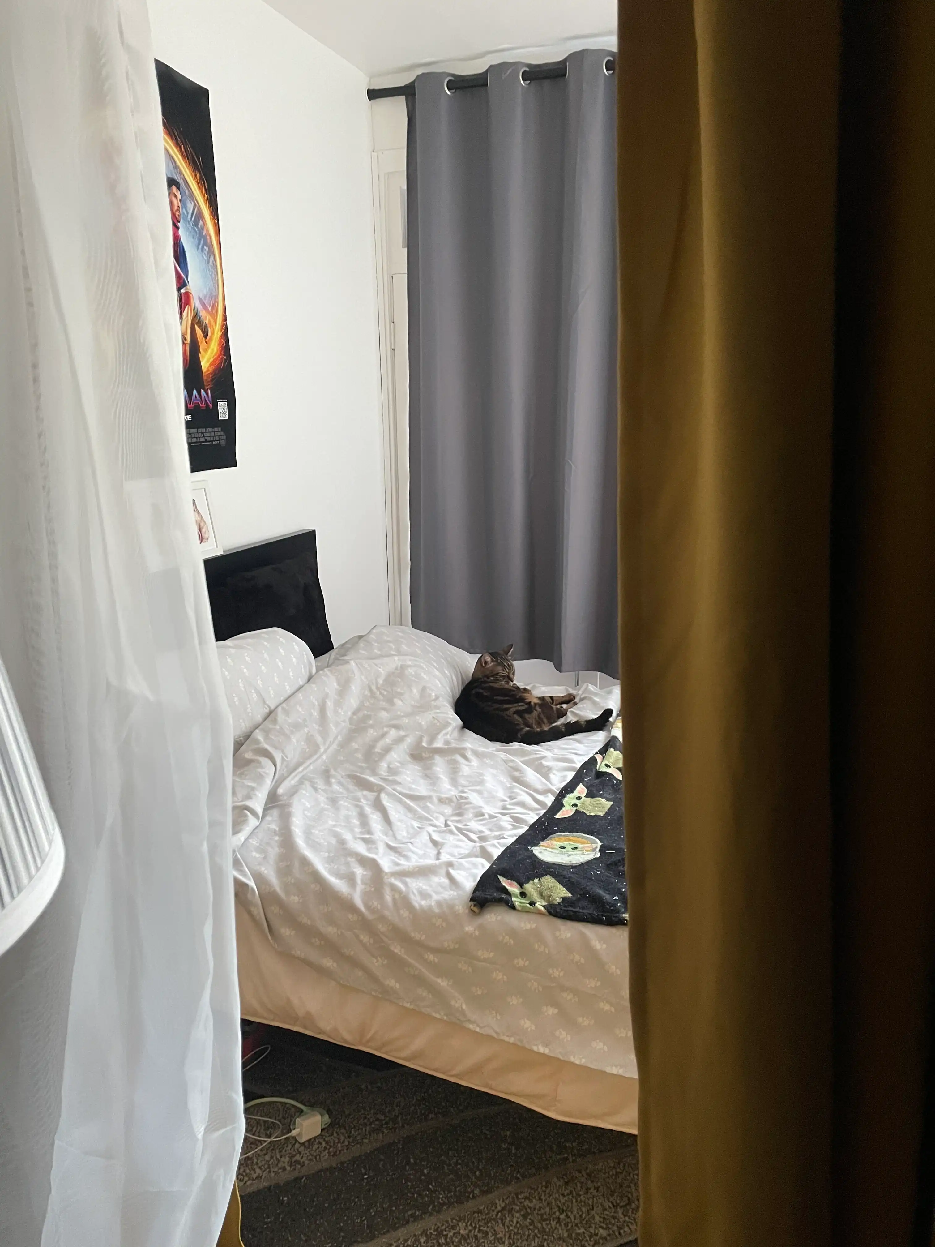 image-15