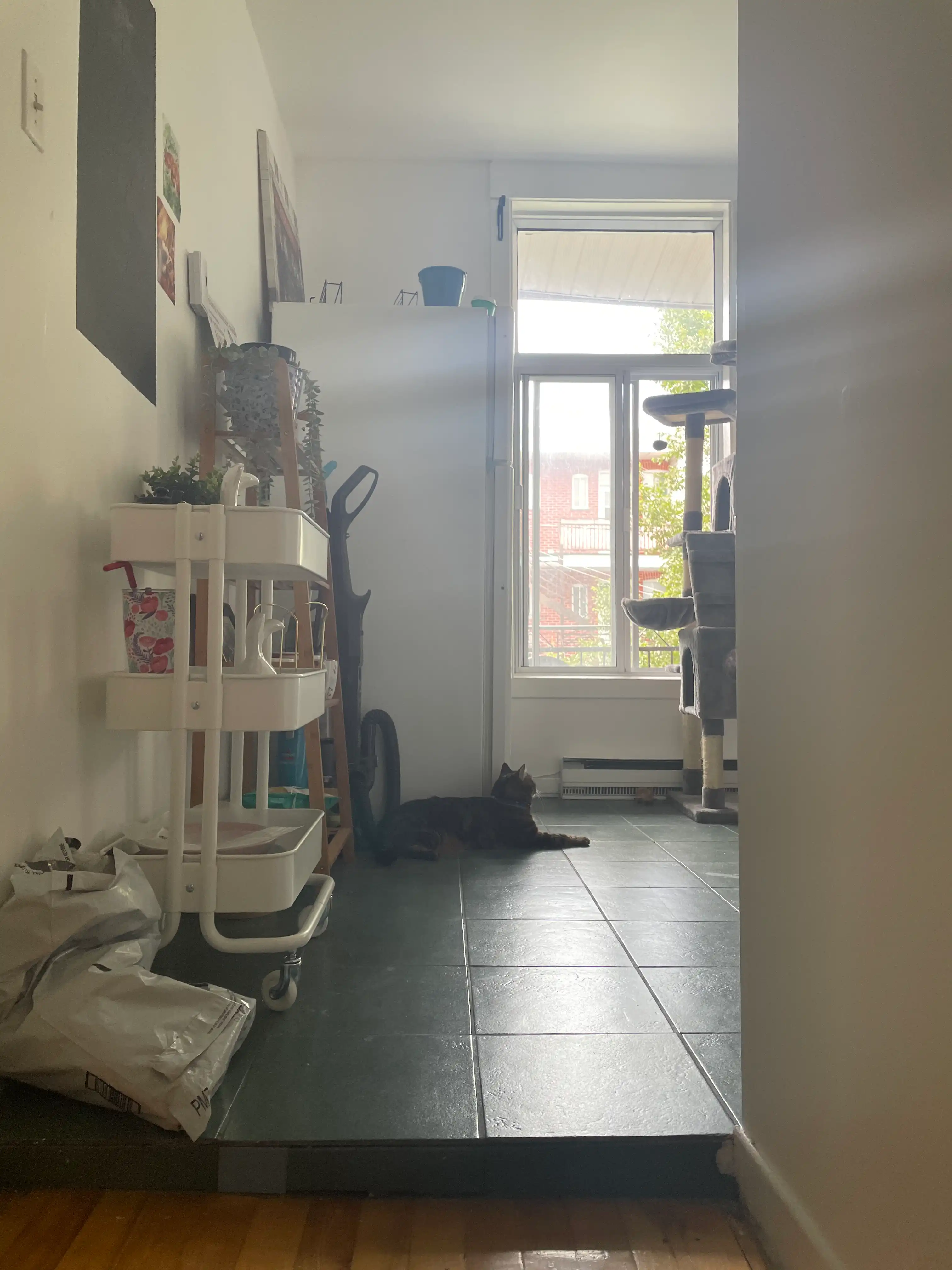 image-14