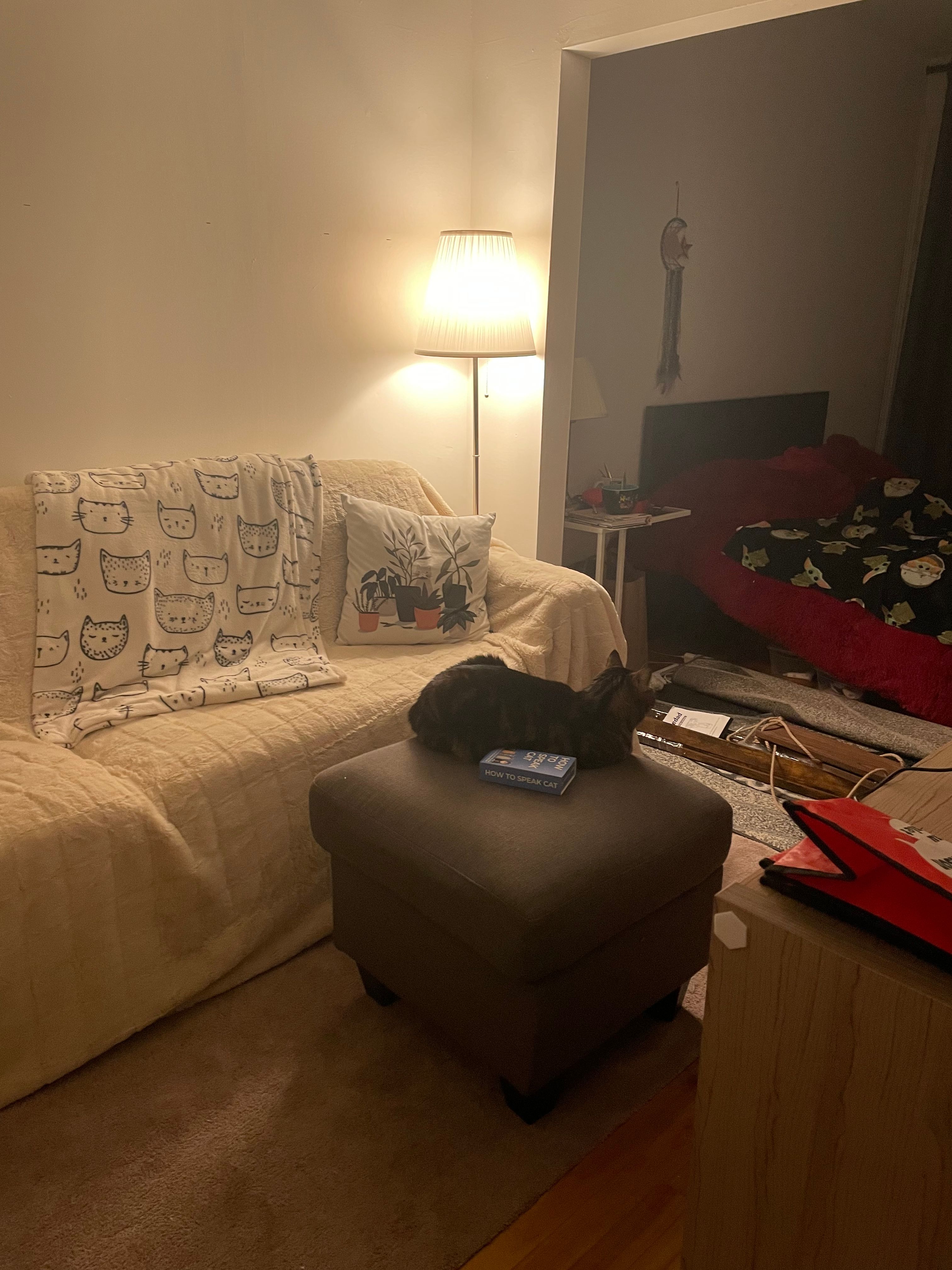 image-12