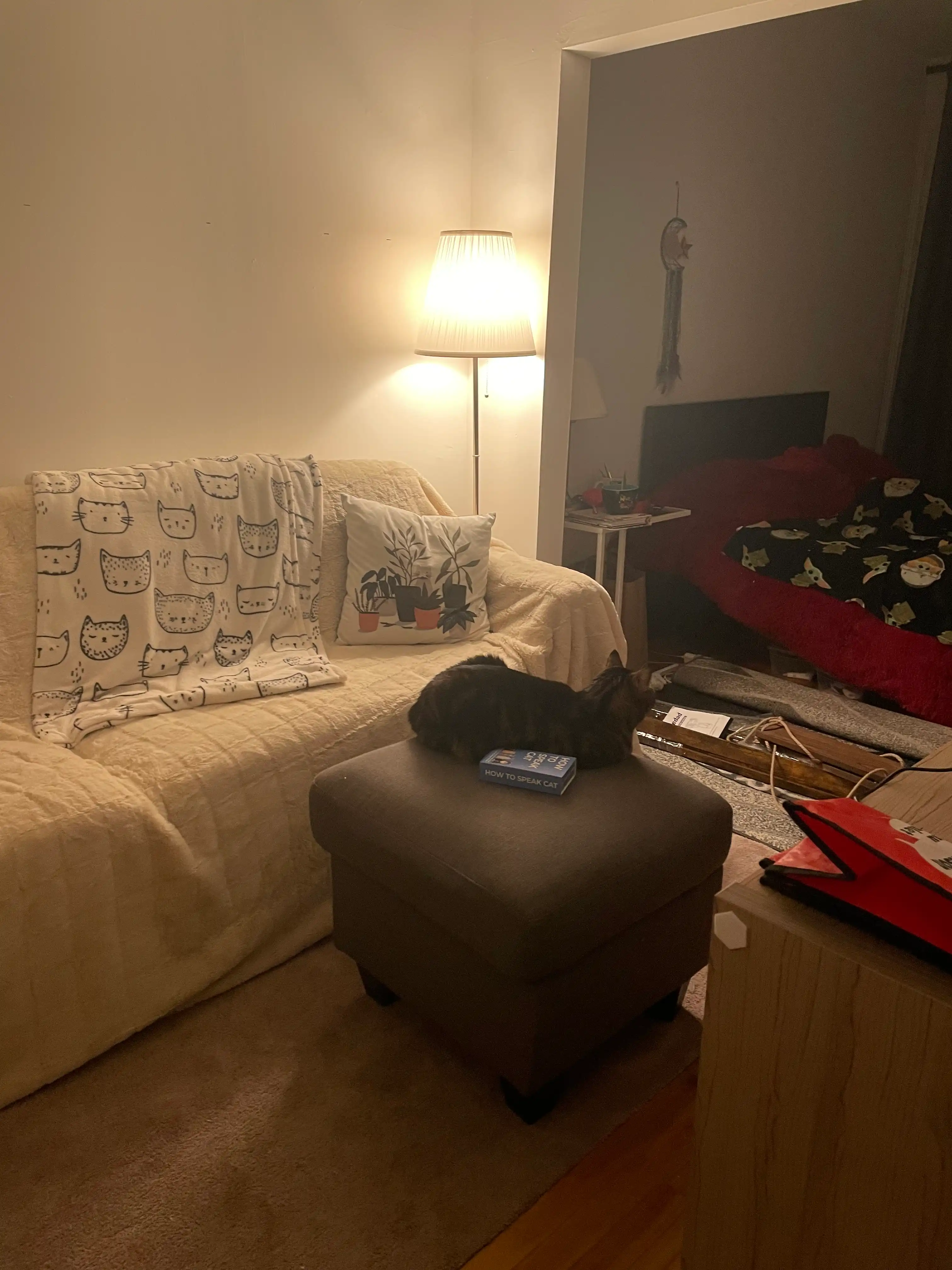 image-12