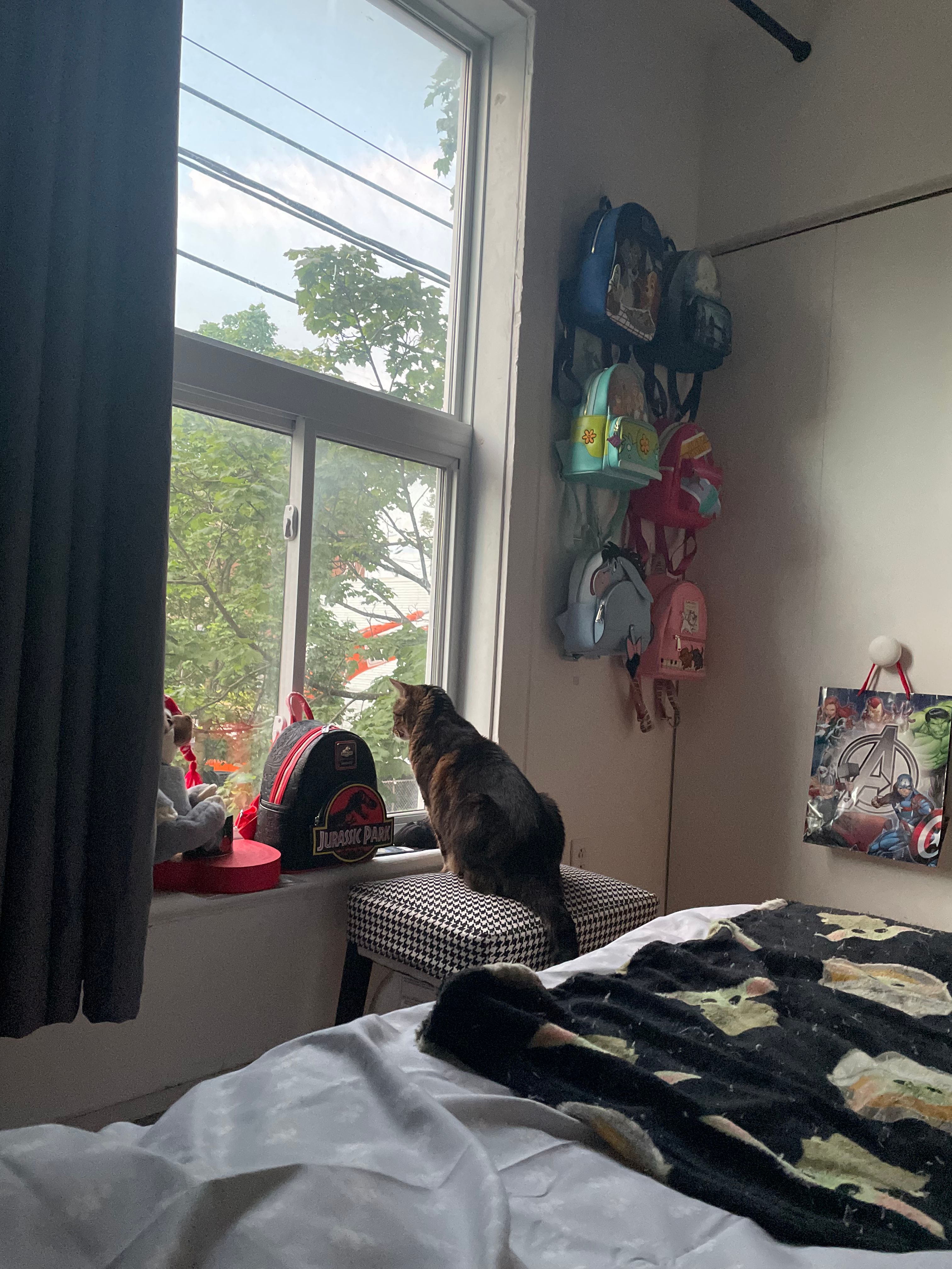 image-16