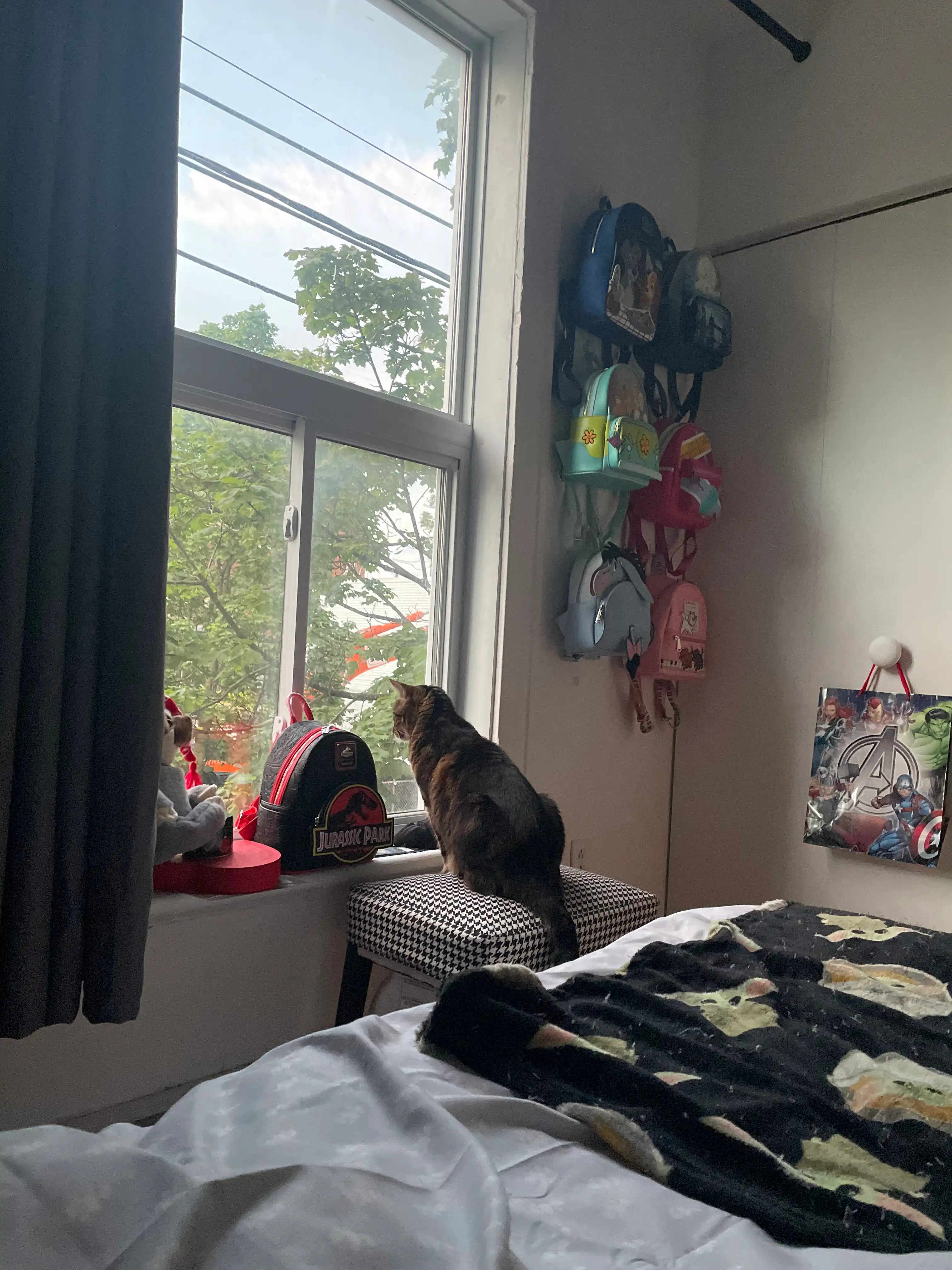 image-16