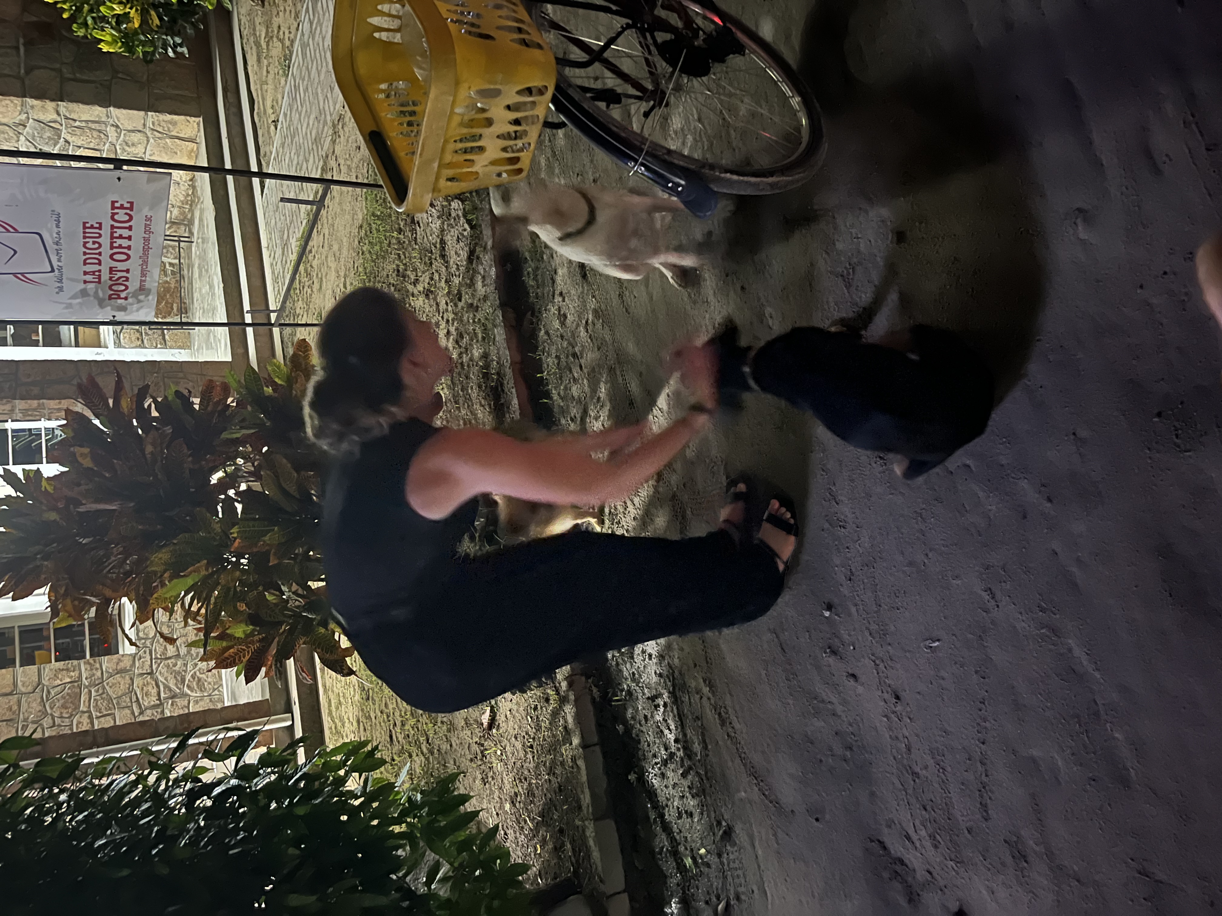 image-4