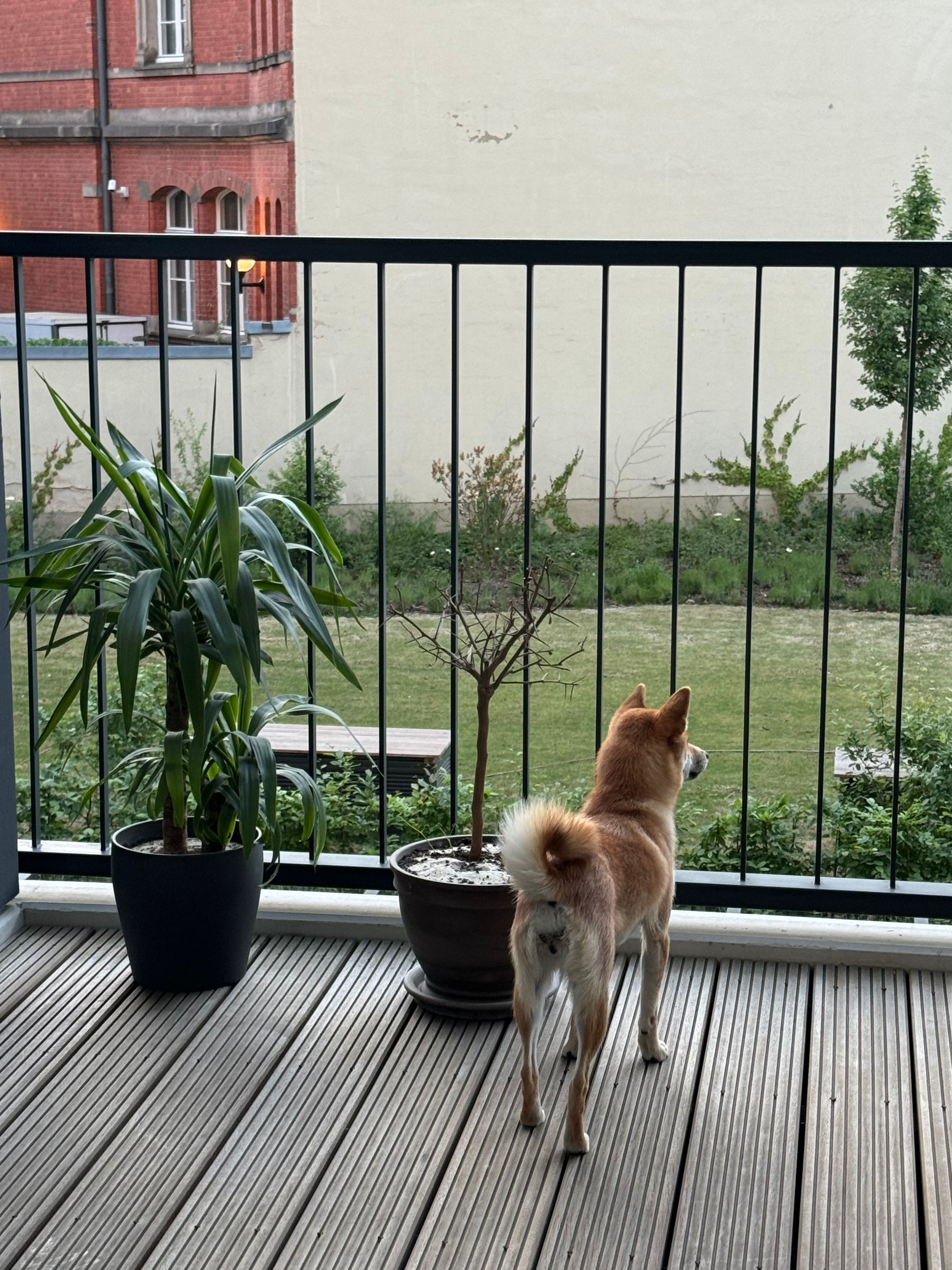 image-17