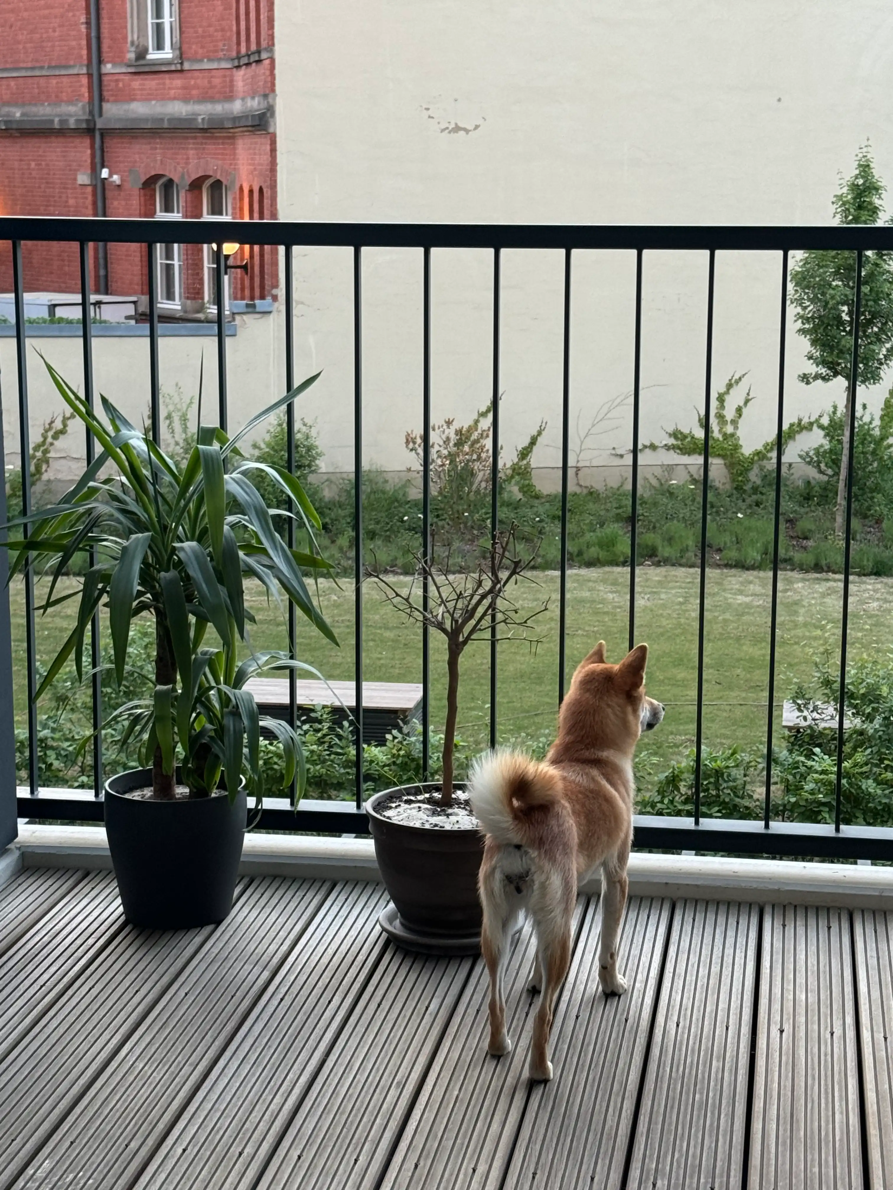 image-17