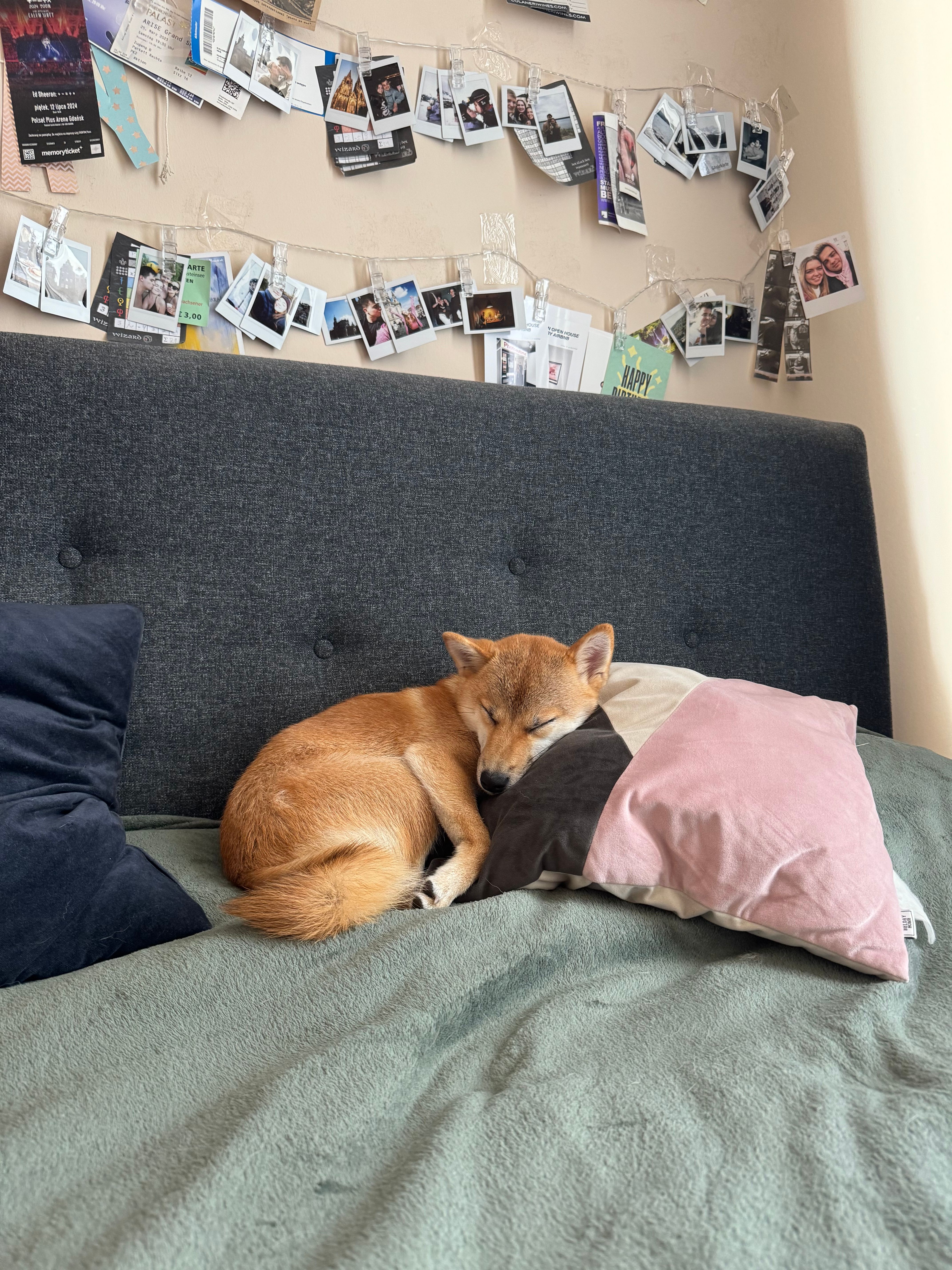 image-16