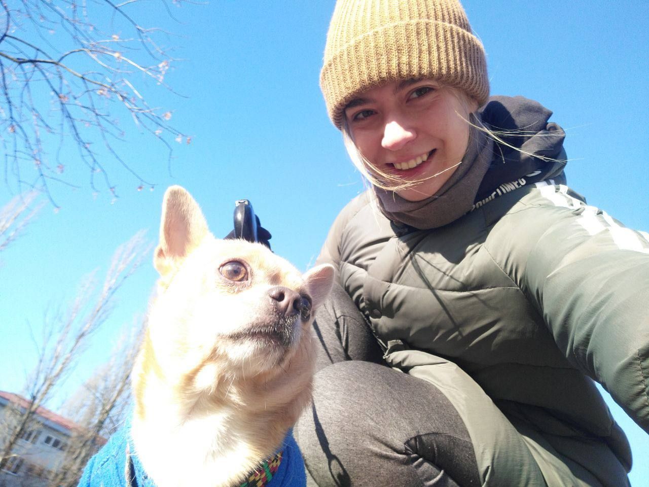 image-4