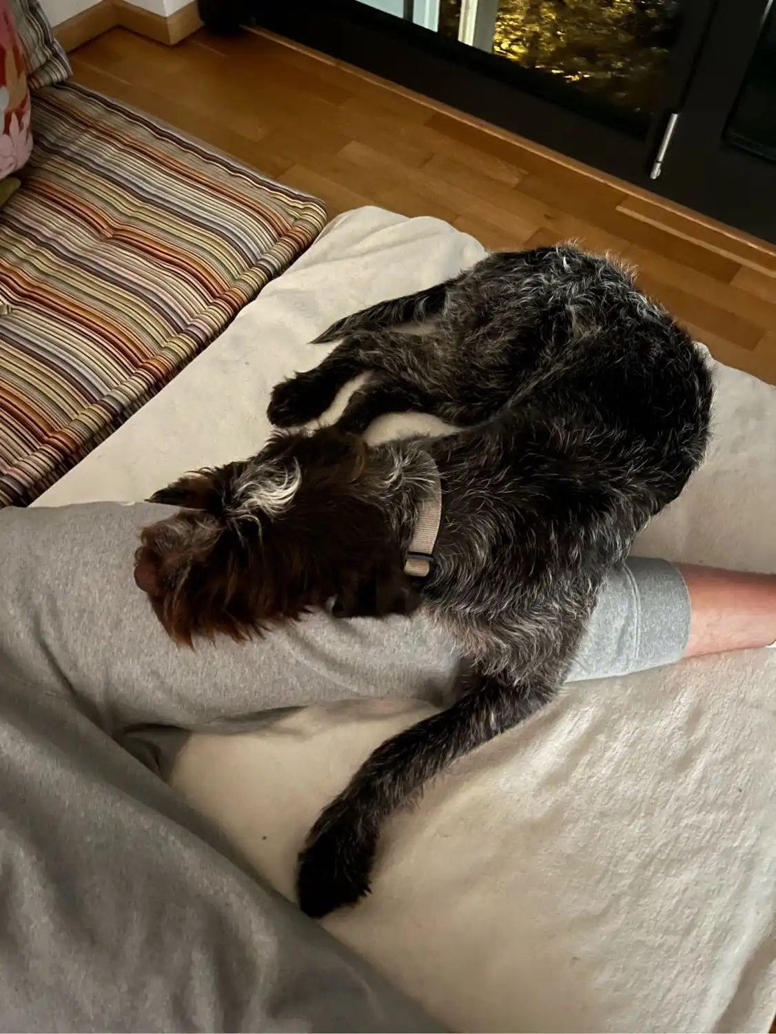 image-12