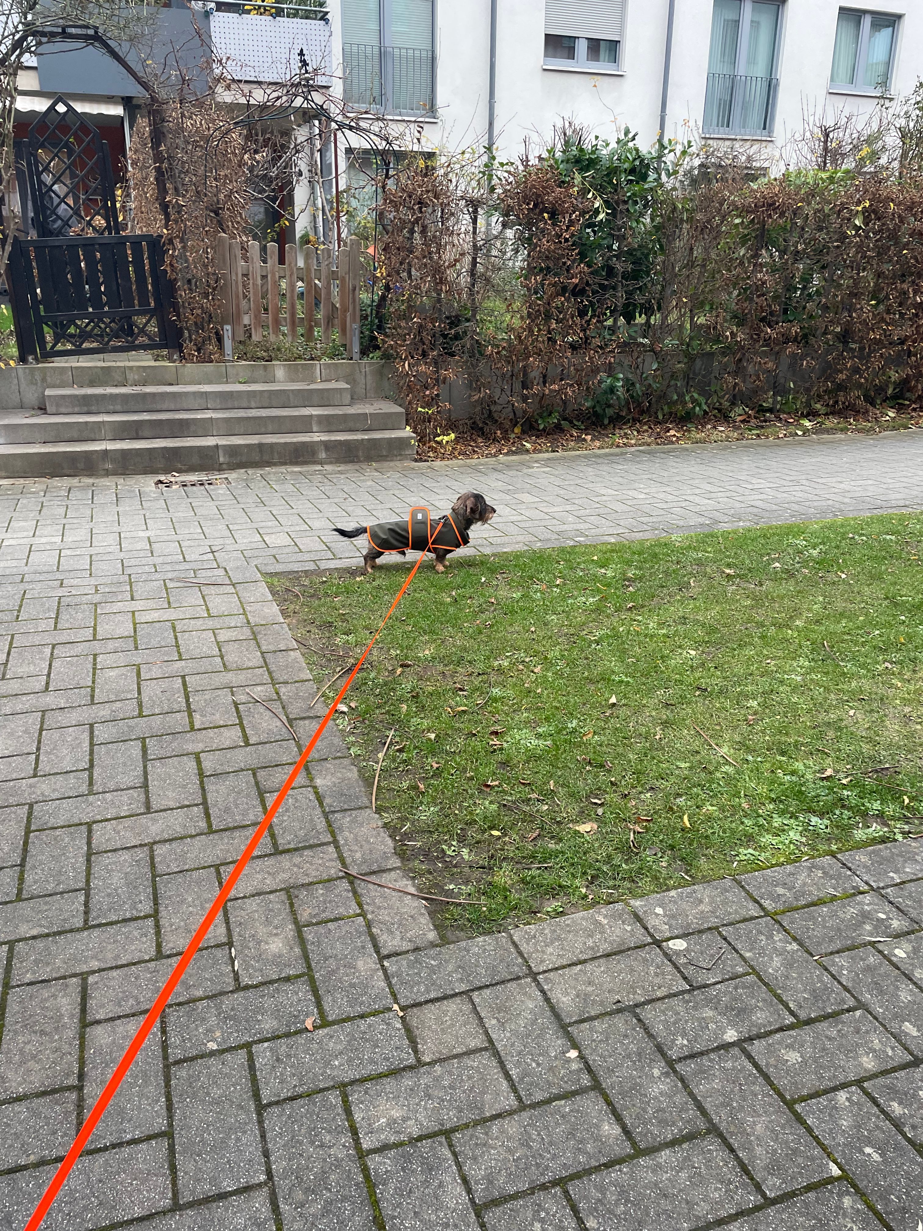image-25