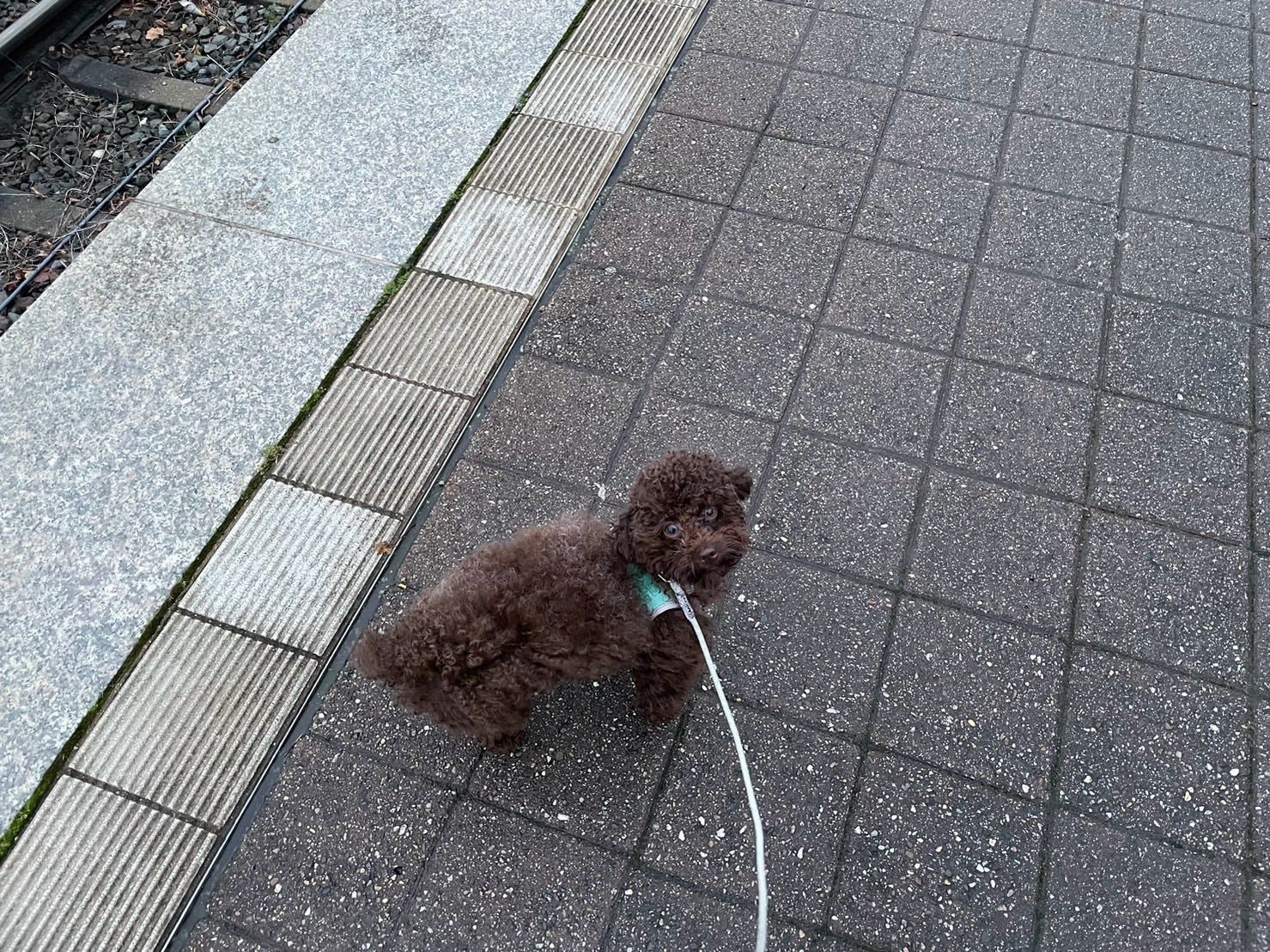 image-7