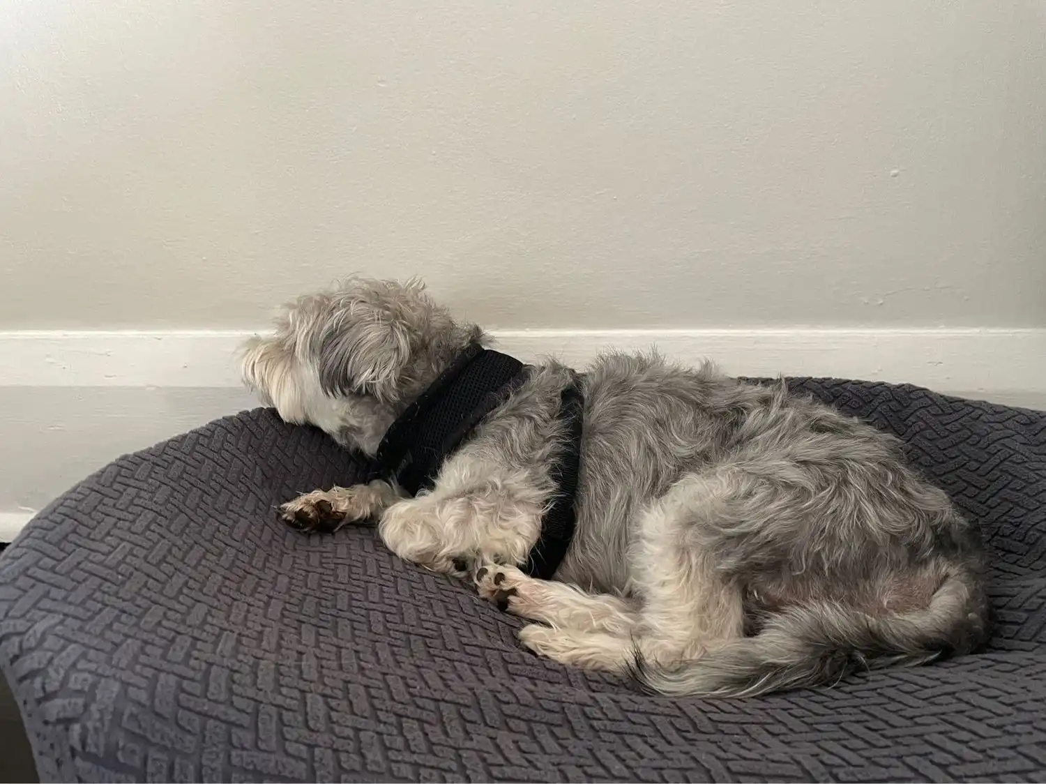 image-11